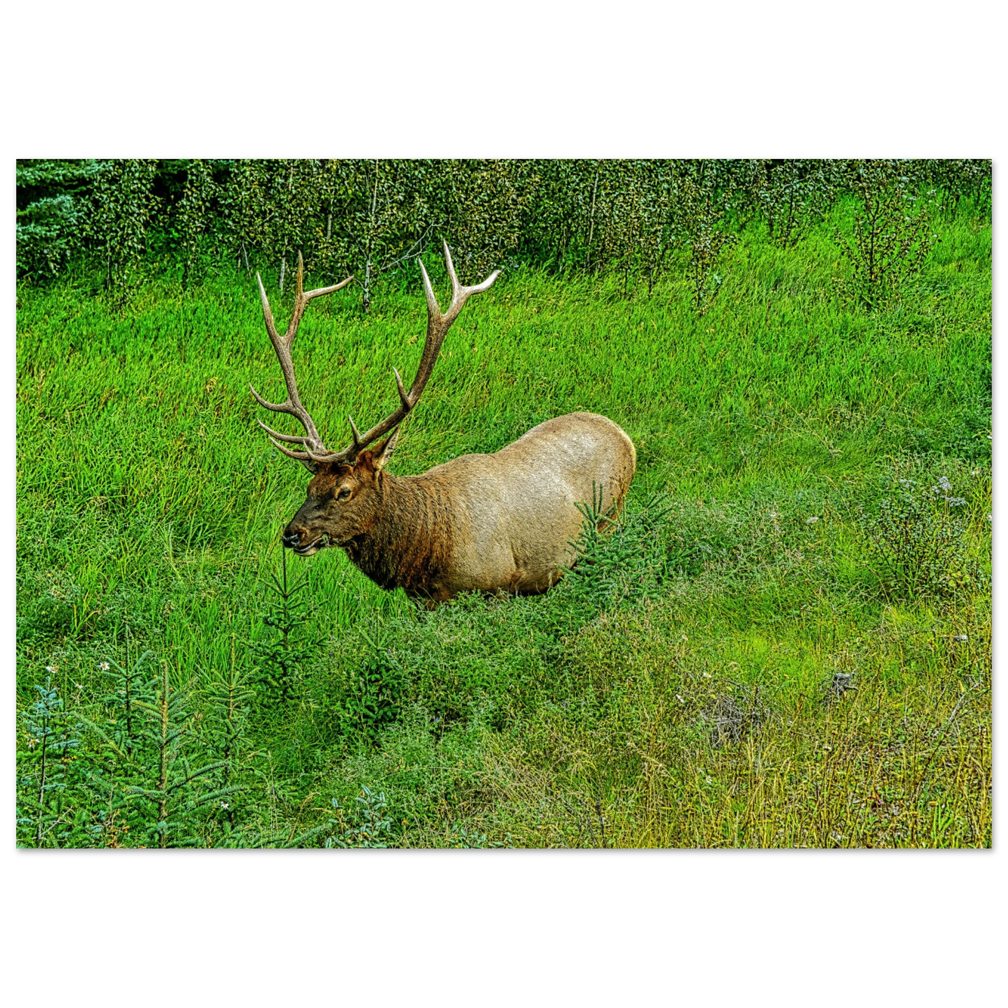 1658991f-dc75-41a4-926e-7c16ac4bfd53