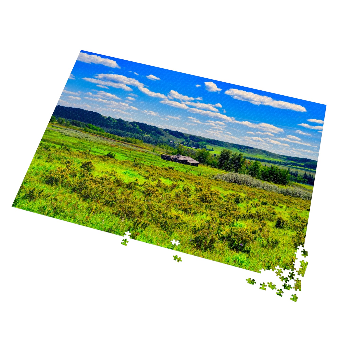 Jigsaw Puzzle - Glenbow Ranch Provincial Park