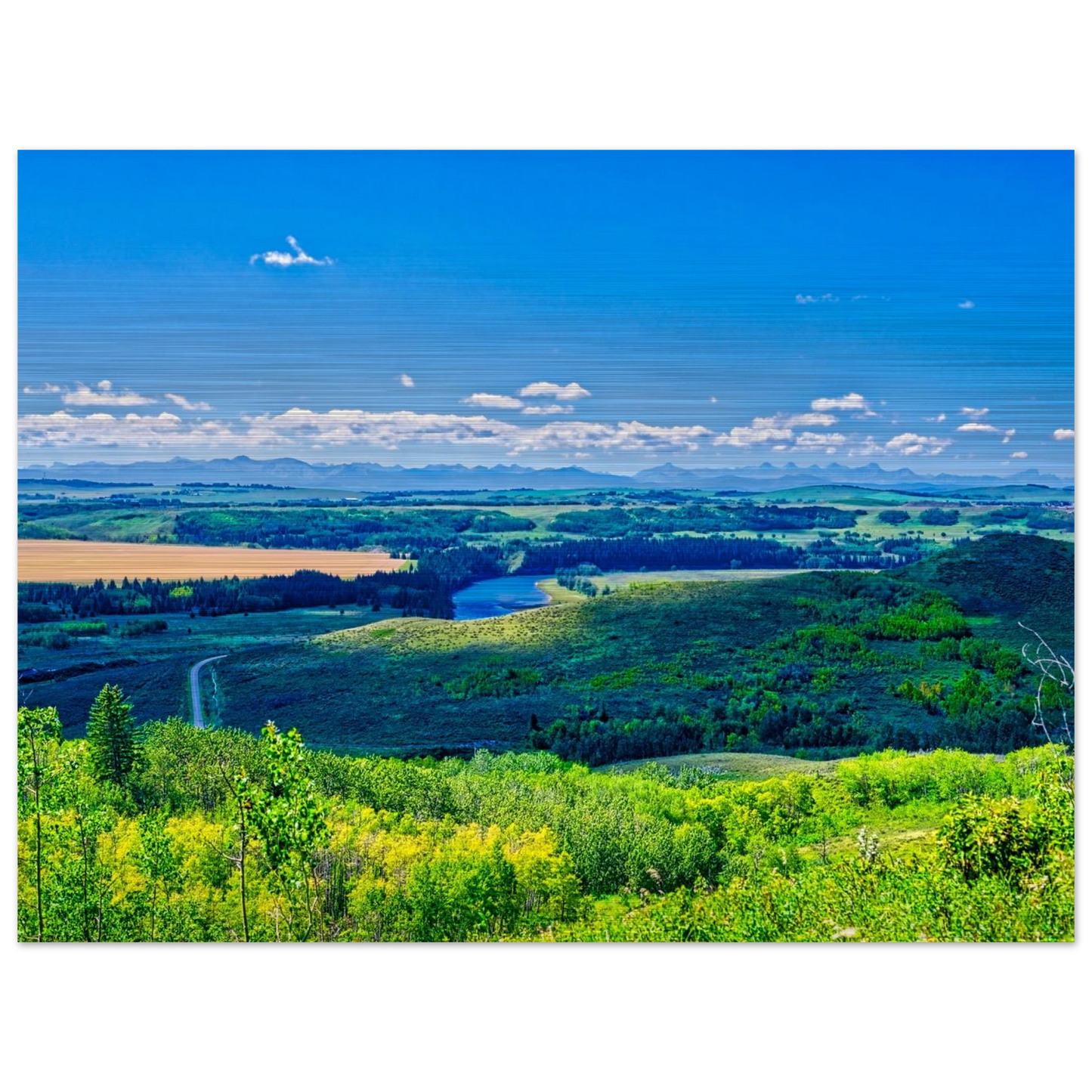 18f07642-8f0e-4f6d-a194-26edb6ceb126