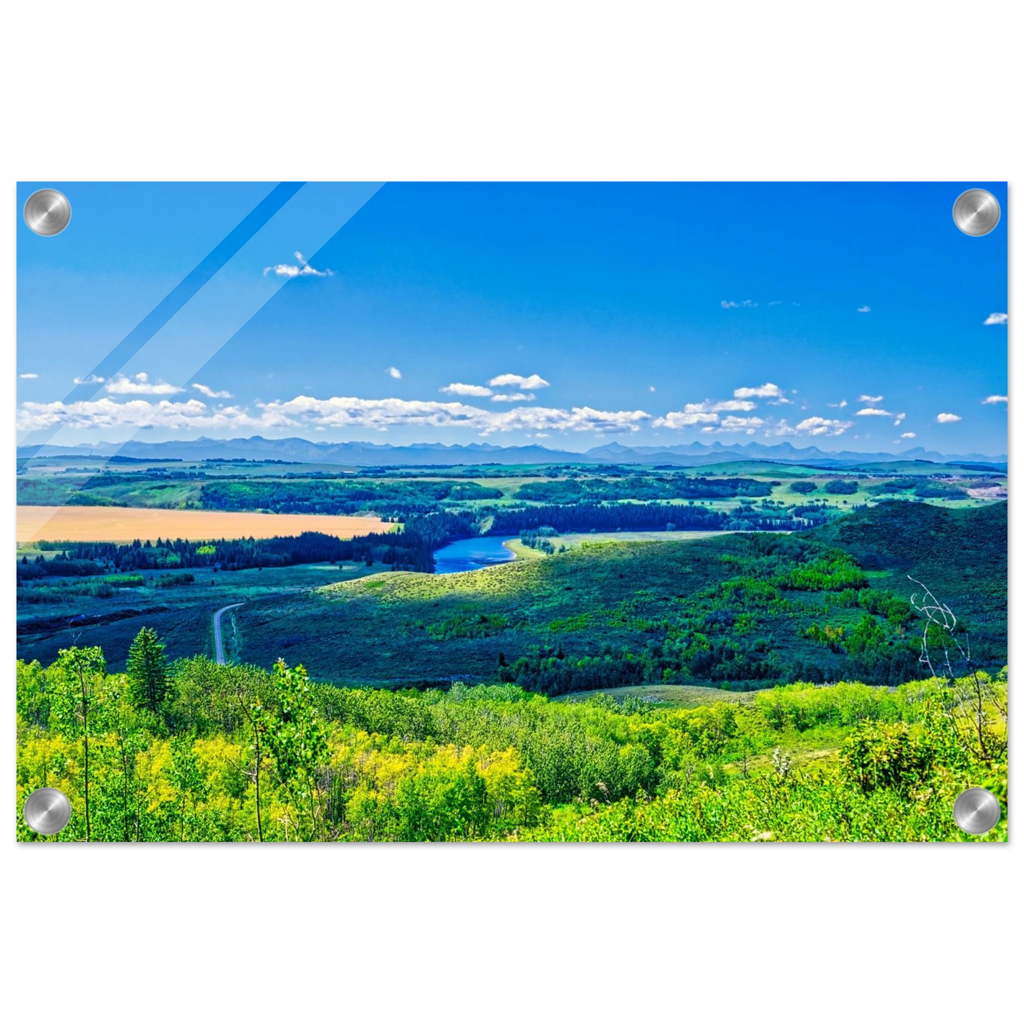 19a143f3-a062-43ce-a159-06487e7f090d