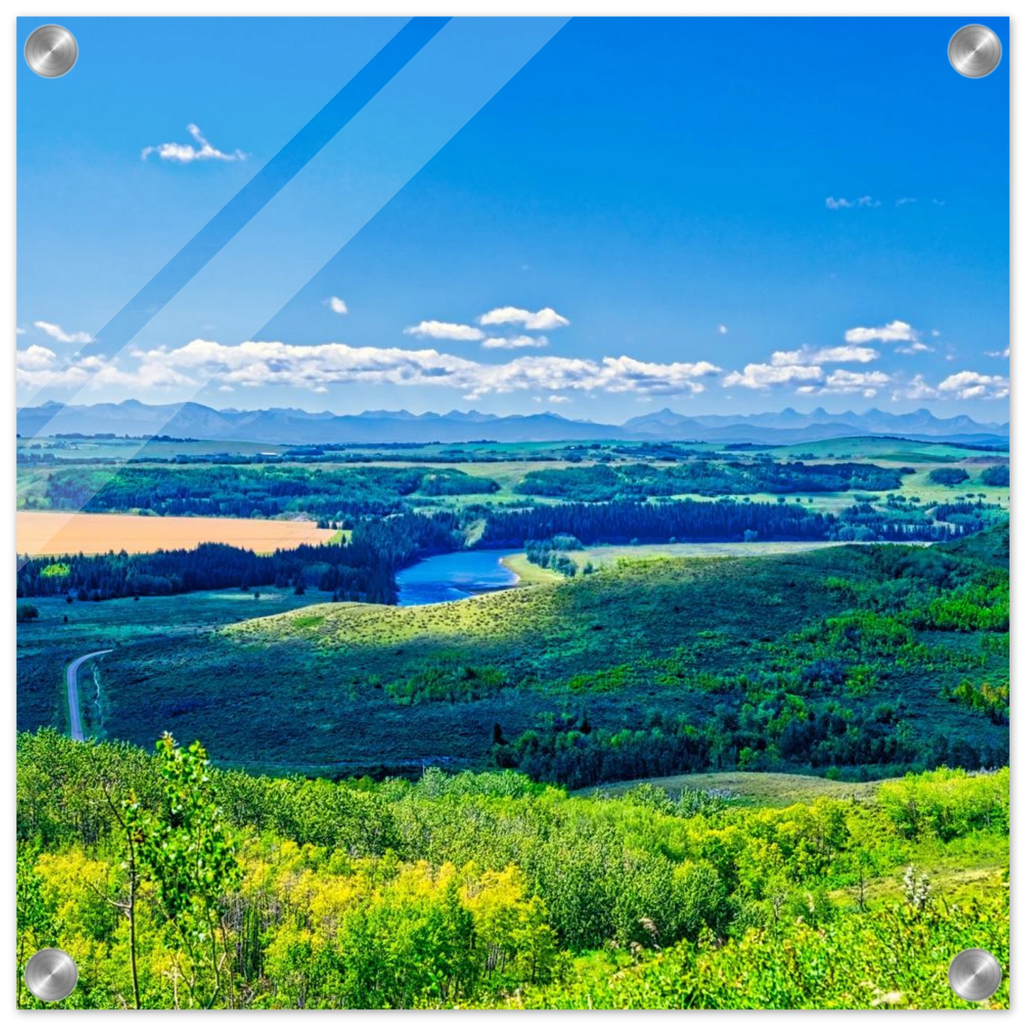 1cf7598f-3e59-4183-abbd-a86be7c62ea7