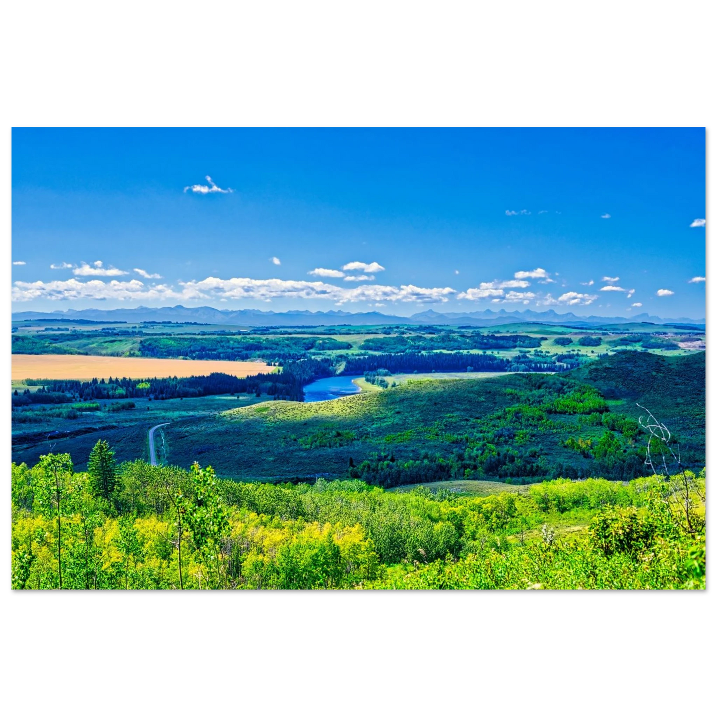 1d0b6324-b10a-41fb-afa1-f87039516597