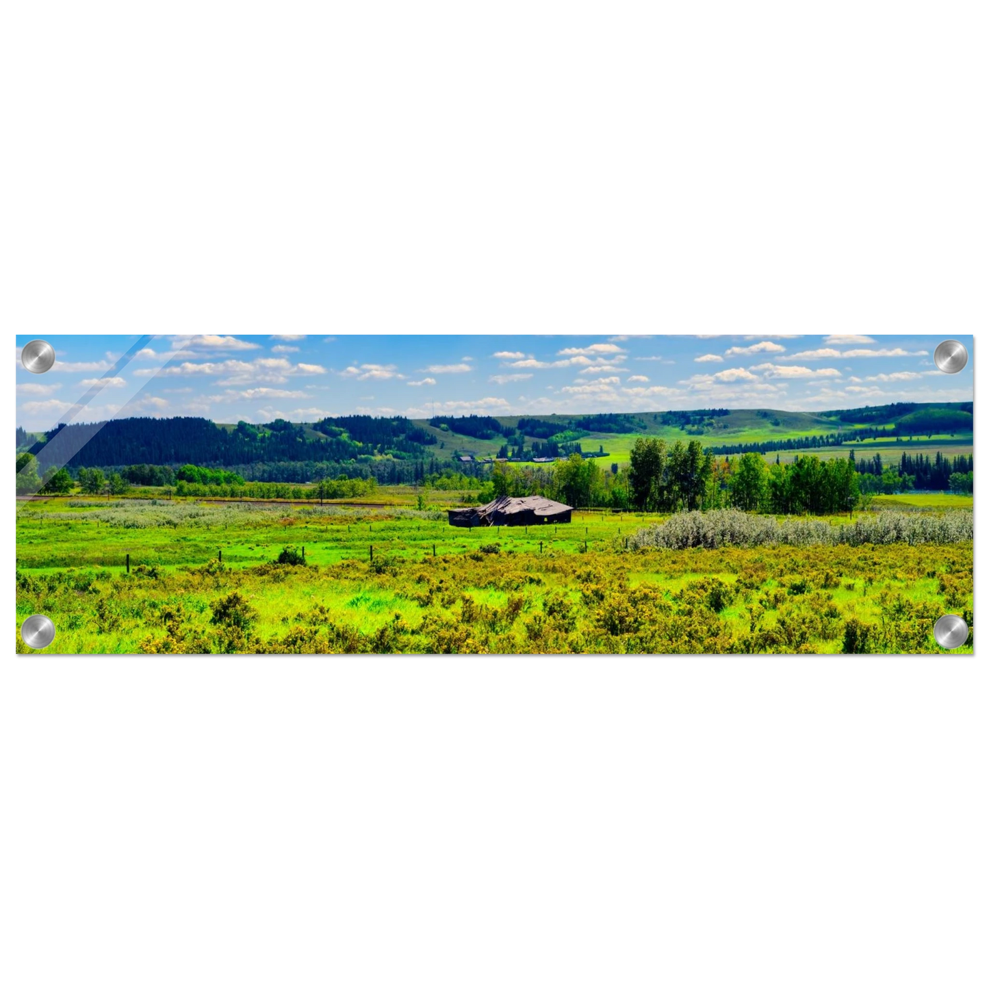 1db8b25f-ec08-4ba4-b4a1-aa804a99d440