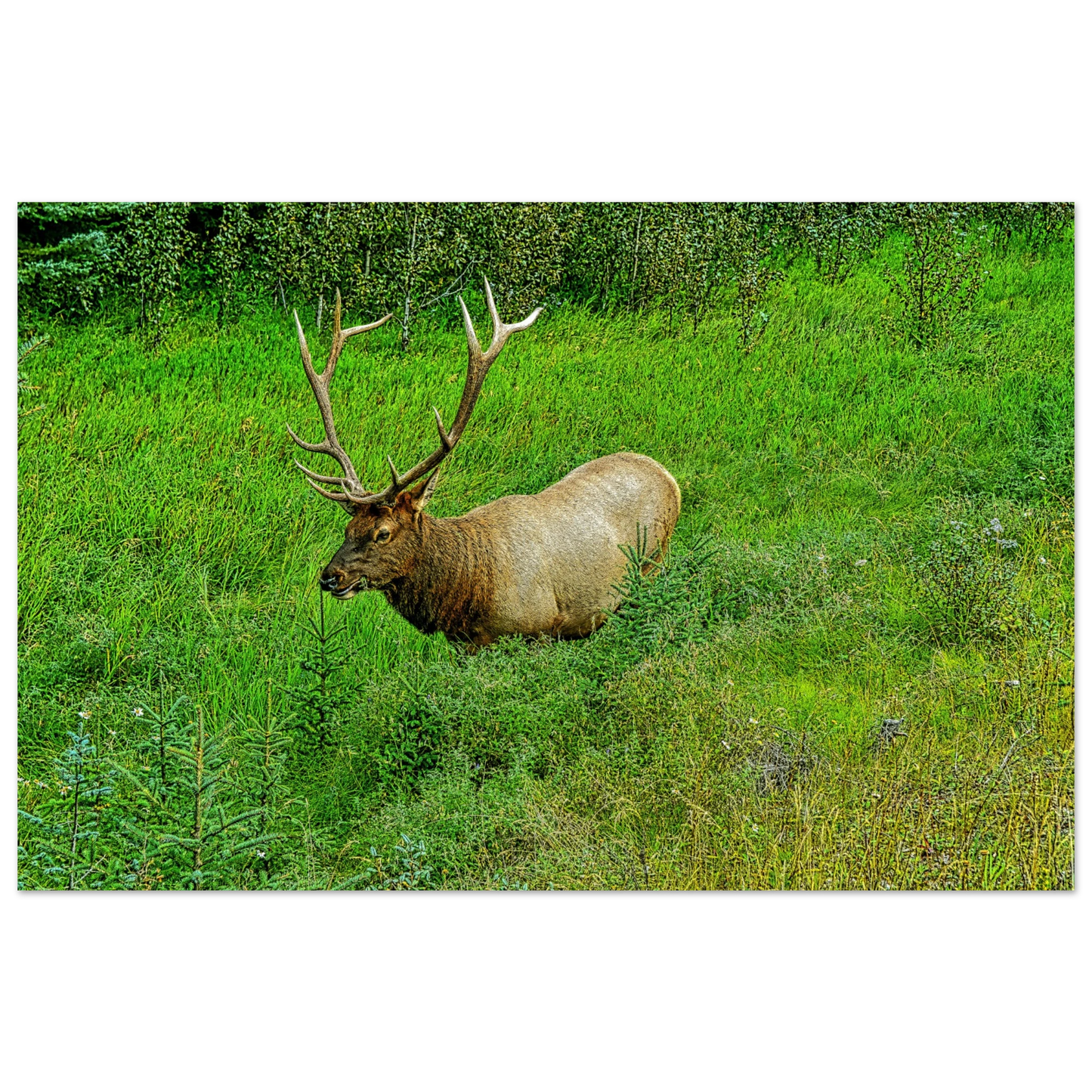 1ef55c74-14a0-4e41-8fcb-72259c2b4e5c