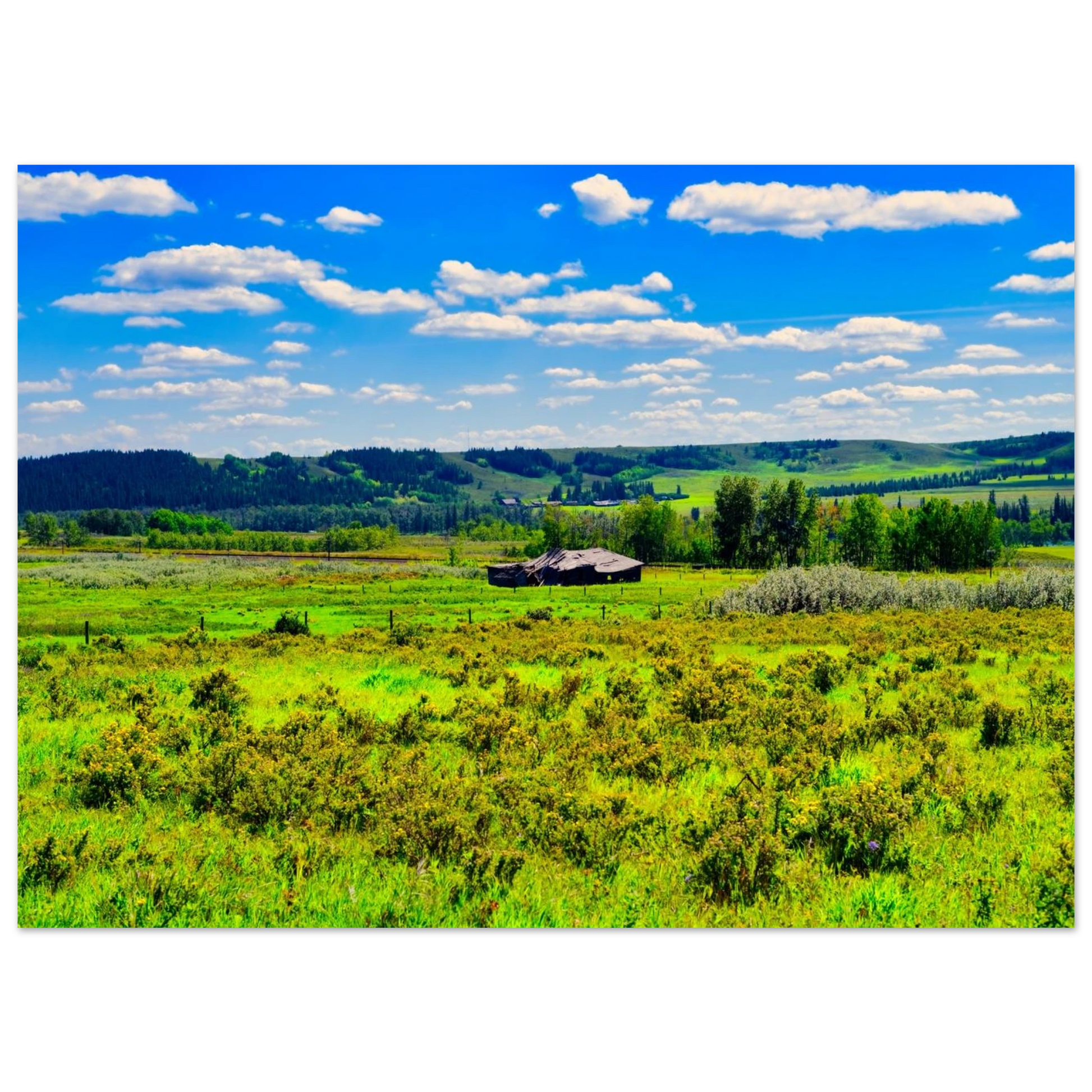 218e6ccf-88c2-42f2-b167-8201757b0b28