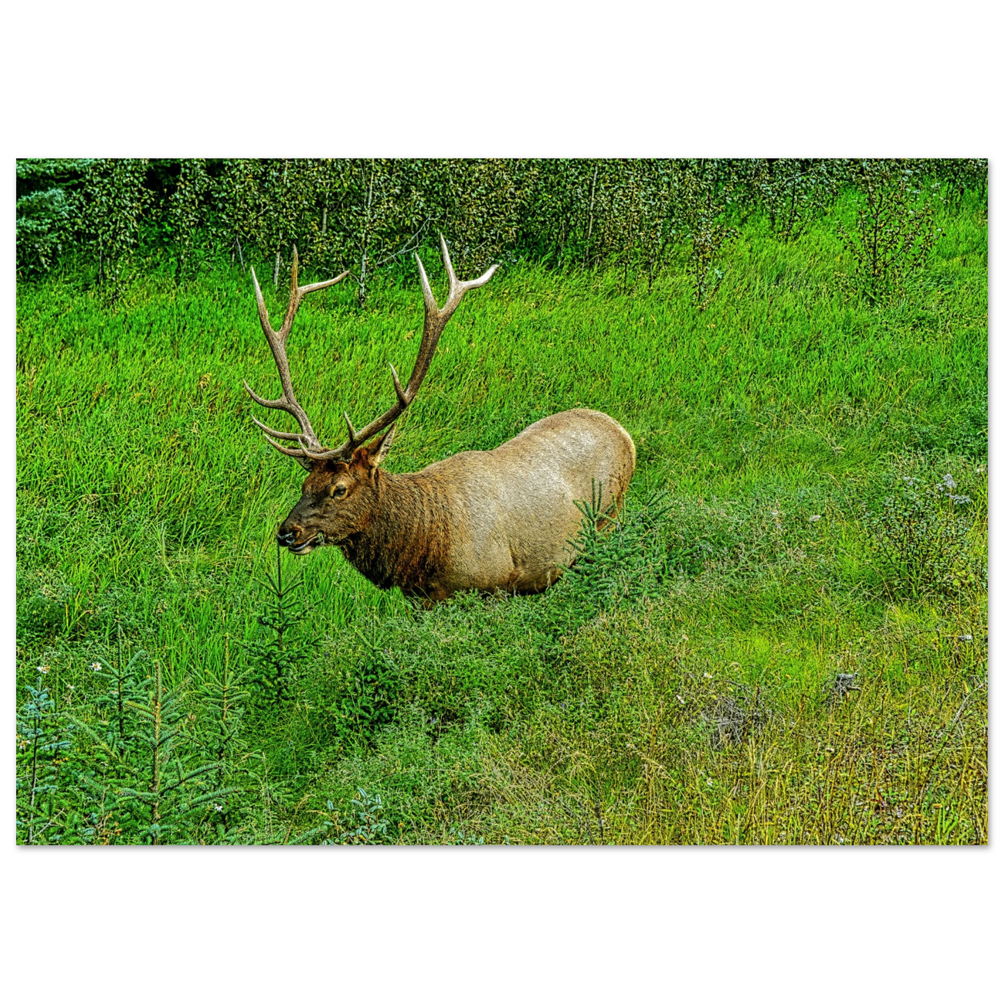 26bafe0a-5fa6-40b7-af7d-869e81d7cc6d