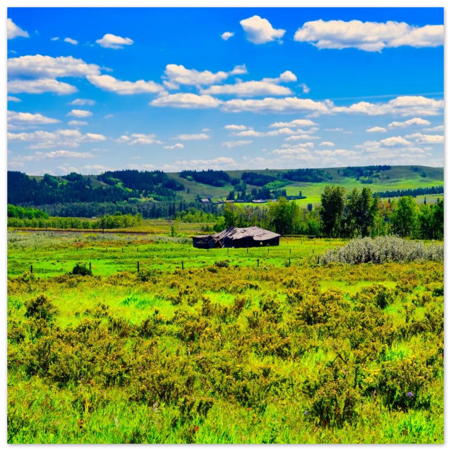 282d5c66-2726-4c98-9ed0-25a2c09f4005