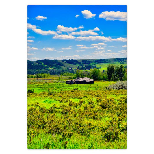 Bed Sheet - Glenbow Ranch Provincial Park