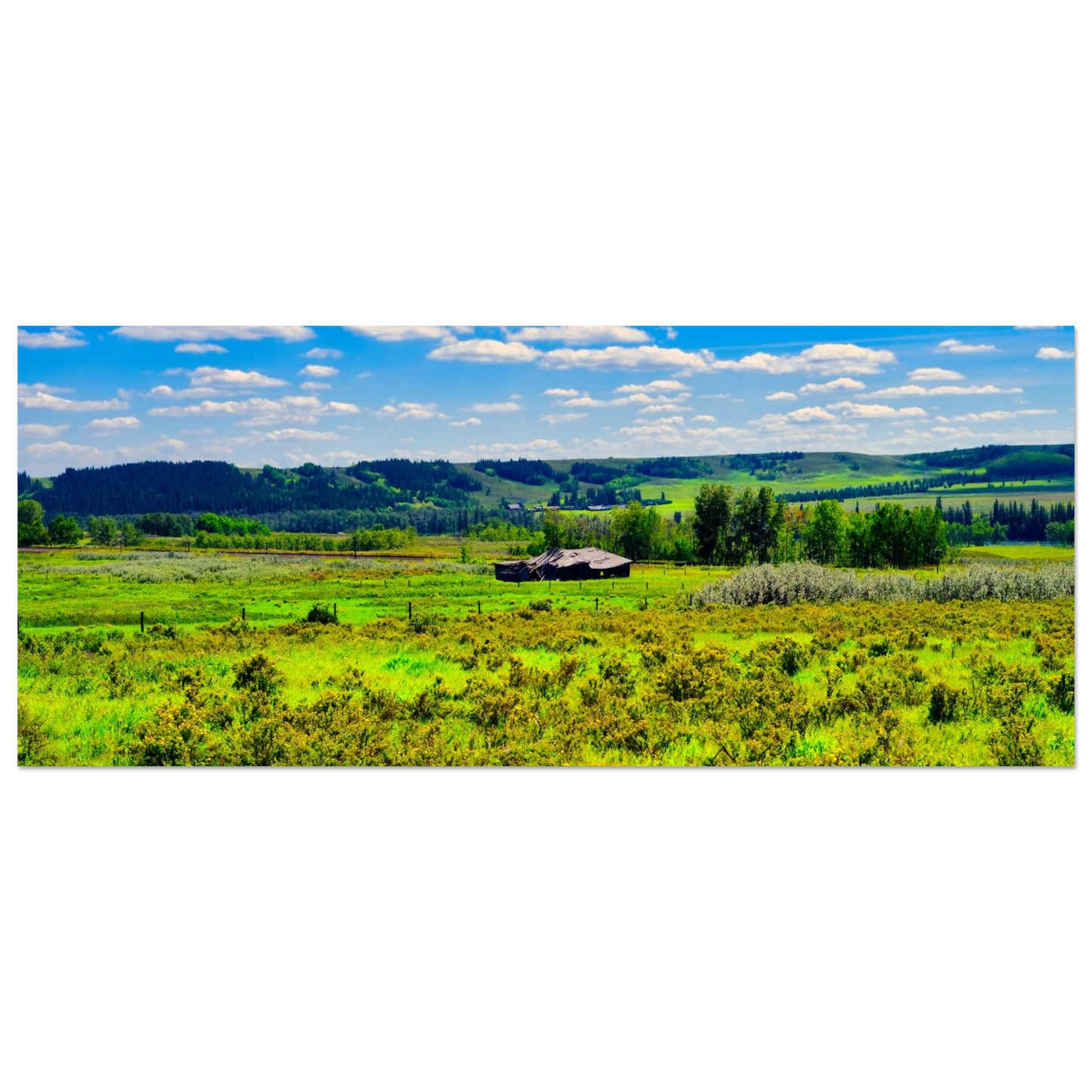 286816a1-c1d7-4873-a712-d10ee371a616