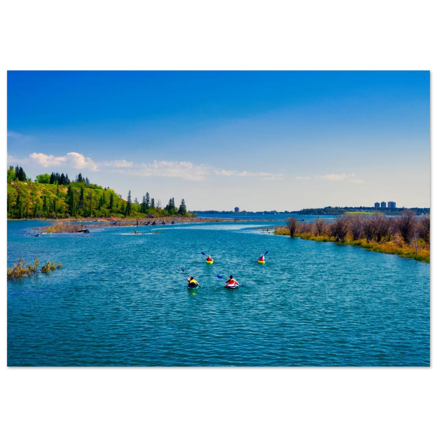 29756ae0-463a-4fe2-b660-19851a1f3554