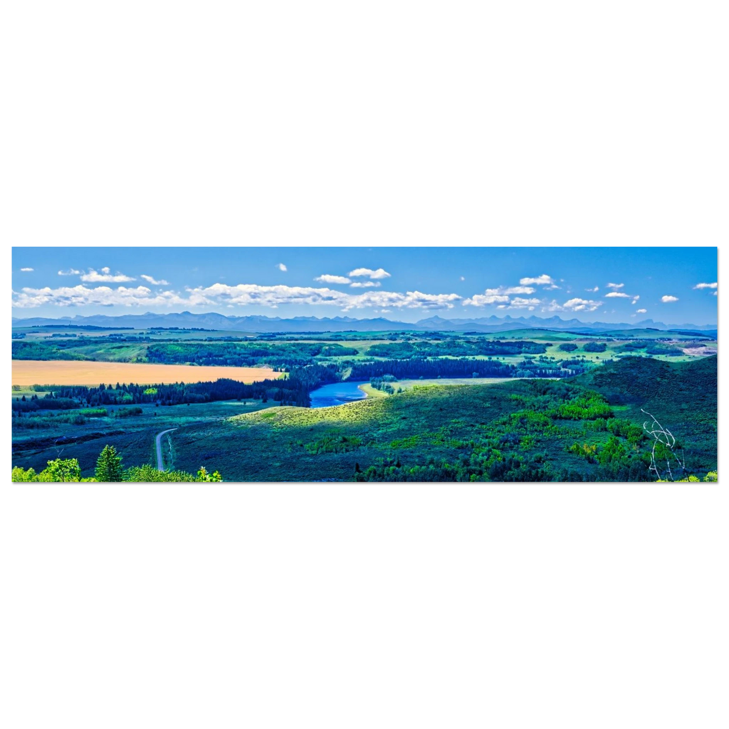 2d6db3e1-0261-4bba-9ba9-e6f006ee683f