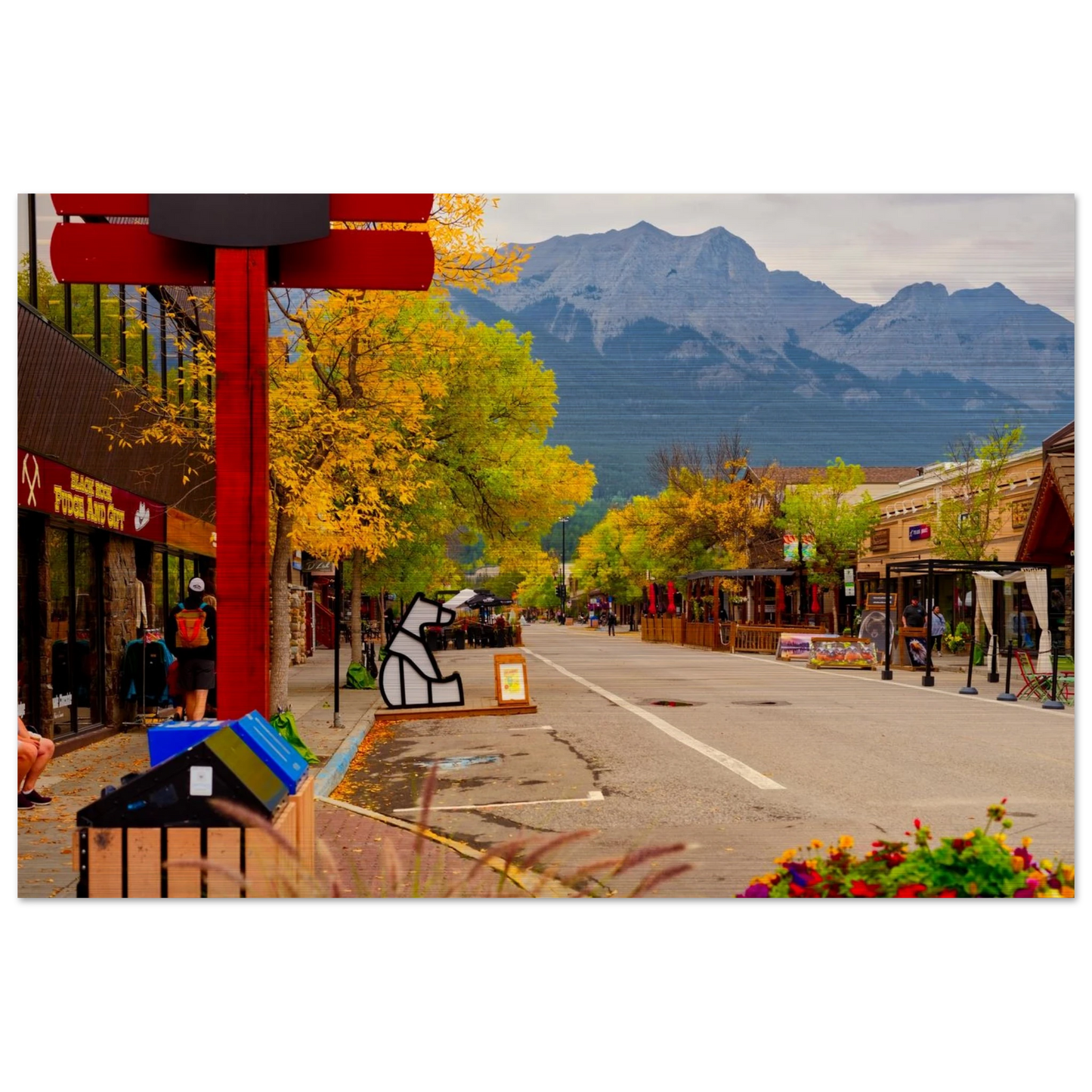 2e11498d-a7db-474b-b845-45d414cf9a4c