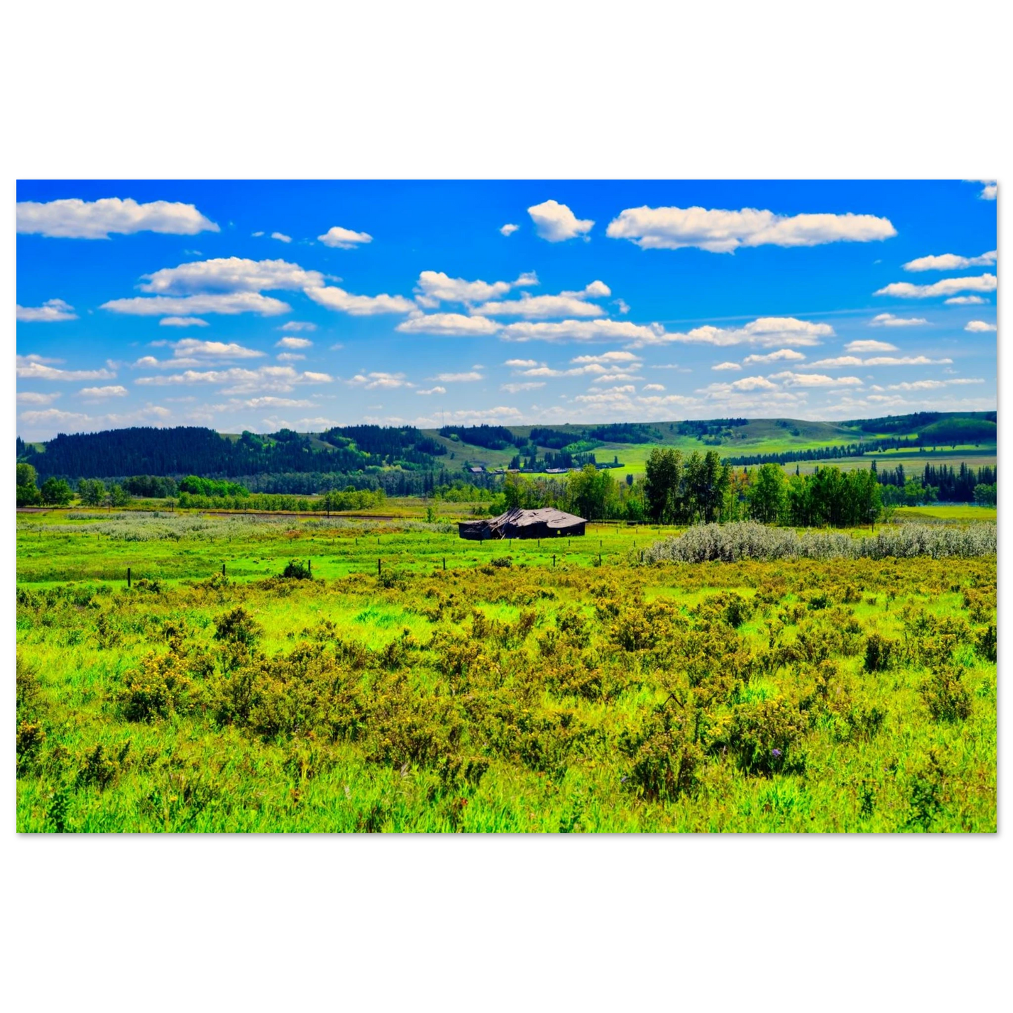 2f0b21fb-7358-4b9a-827b-6252b2a0578f