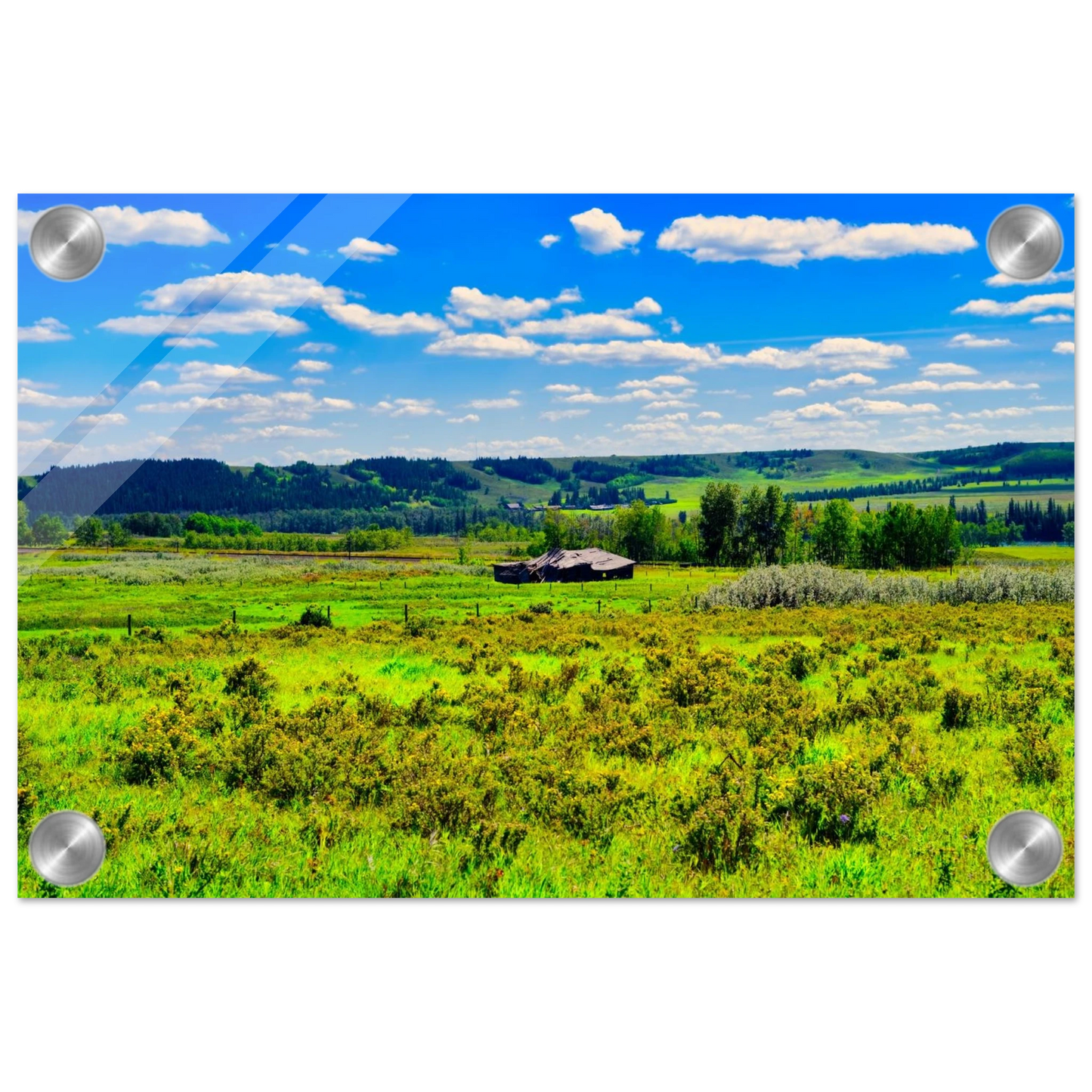 30381b62-42c8-42a6-bfb9-f511dedba7dd