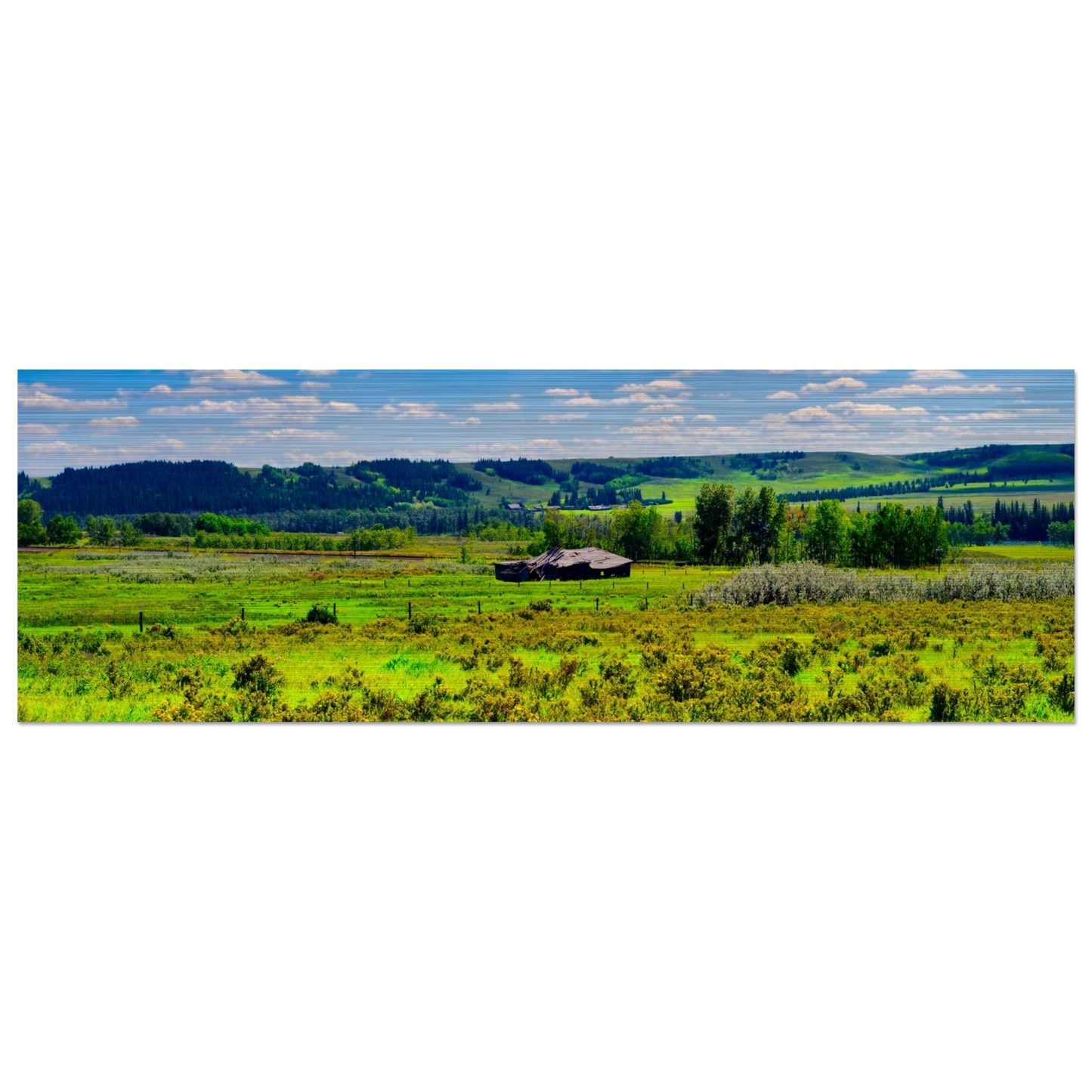 31b59e5d-1558-4c6c-b8a0-f6803922f960