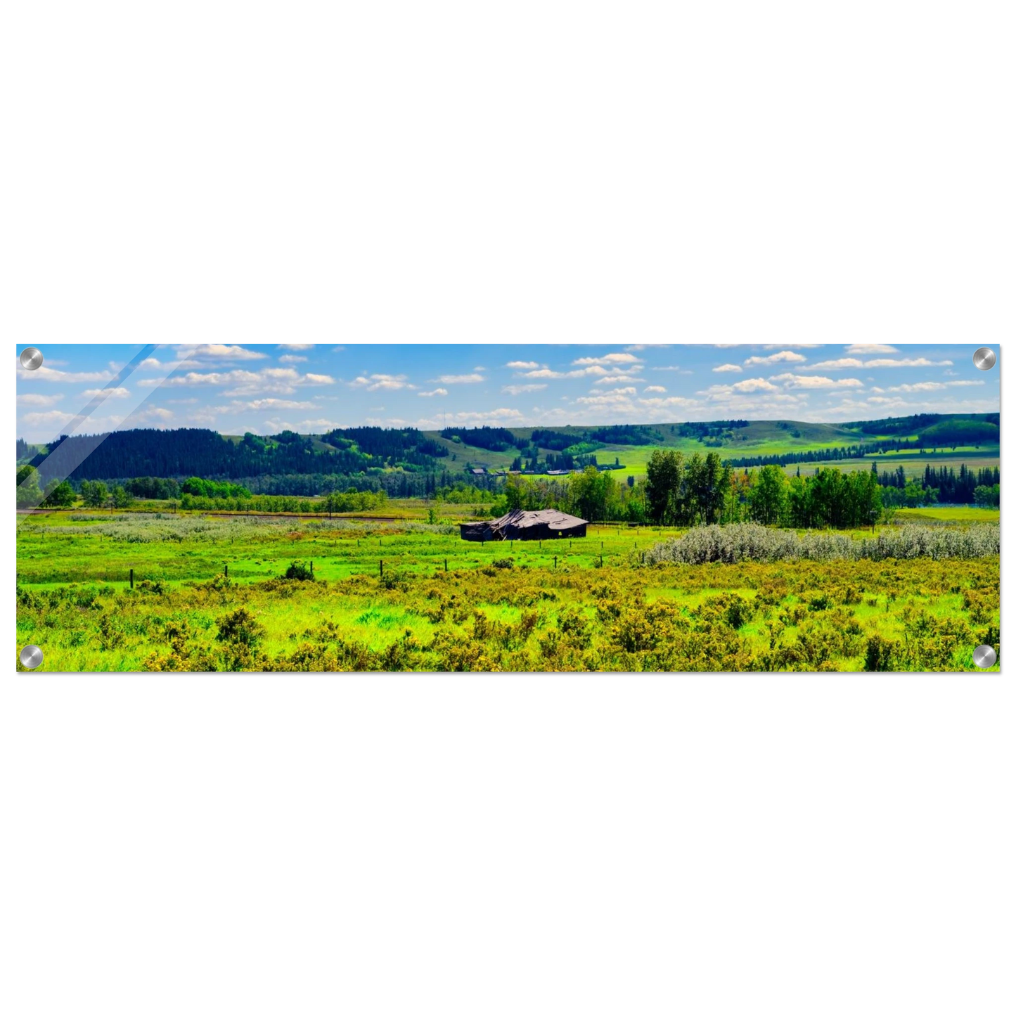 31d7bd0d-175f-487a-9c4e-0a60b2274a0e