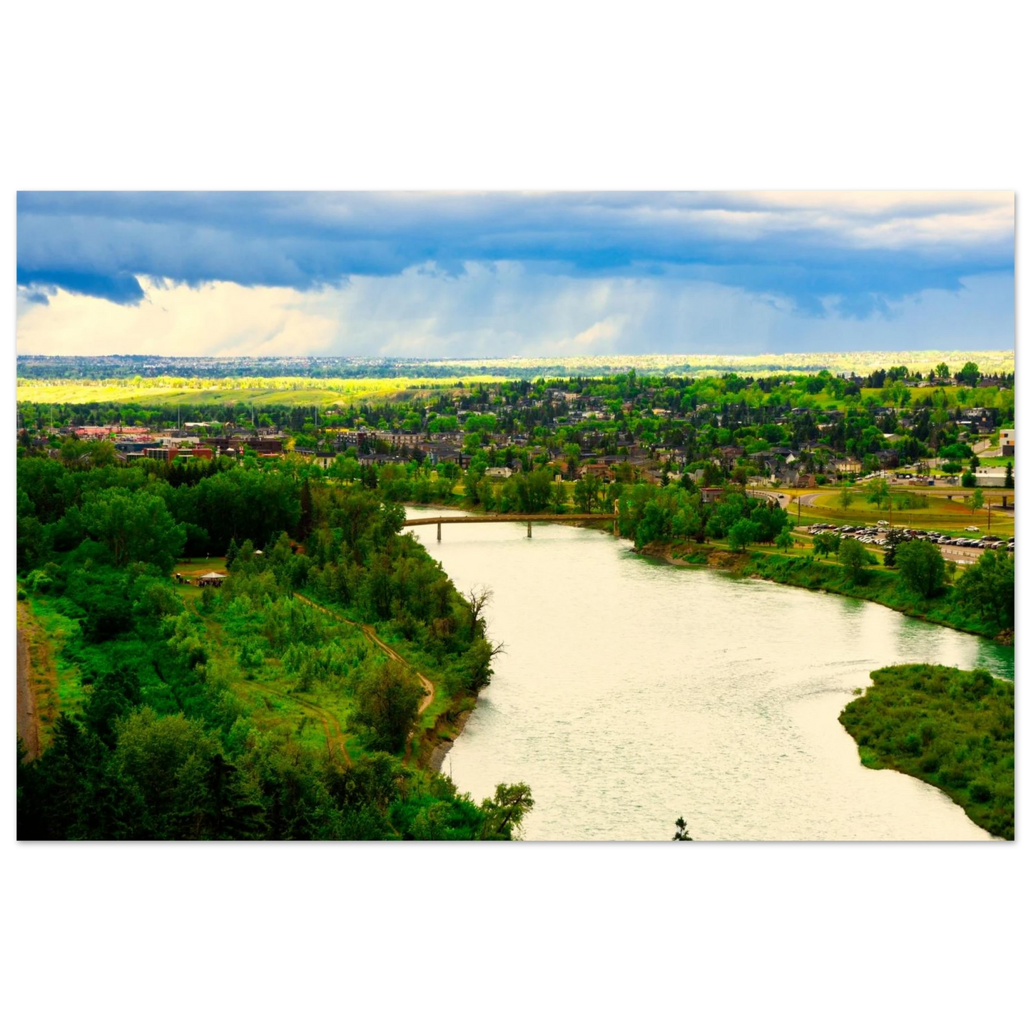 31f15c0f-7668-4ff6-9625-38369ea545f6