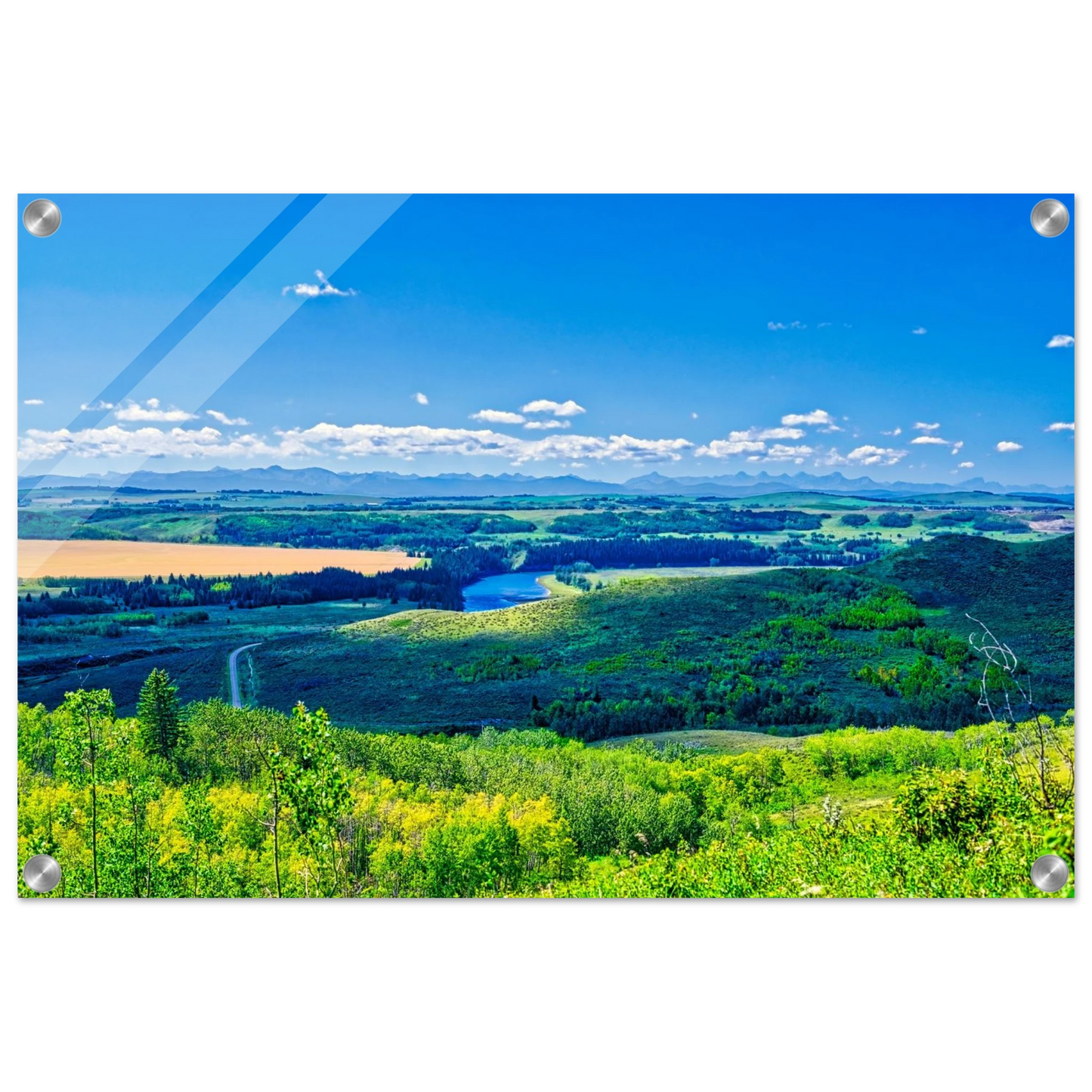 3424938d-c539-440a-ac16-96fd32a9d21a