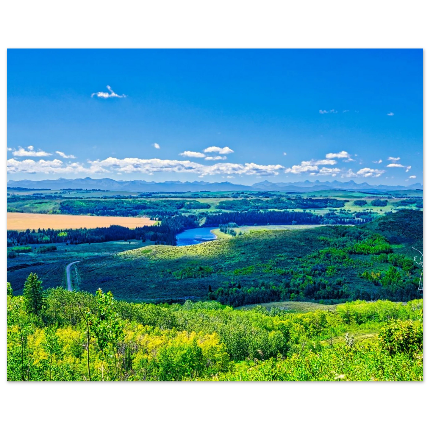 343ae28c-80e2-48e6-a8f2-e9cabe9e8681