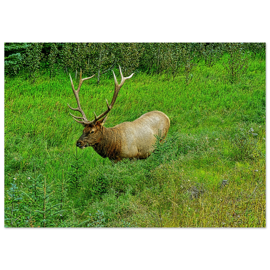 34c5f91d-d3cf-4c87-8dec-08cc957c85ae