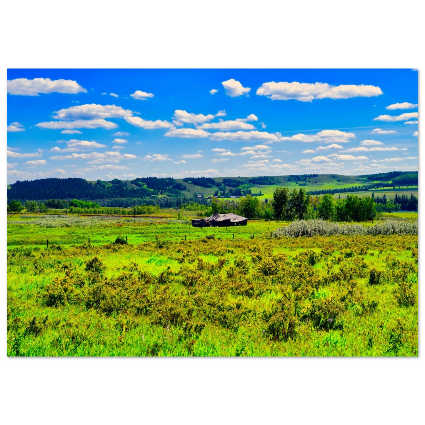 357358d9-efa4-459e-a509-d9b49418c6ad