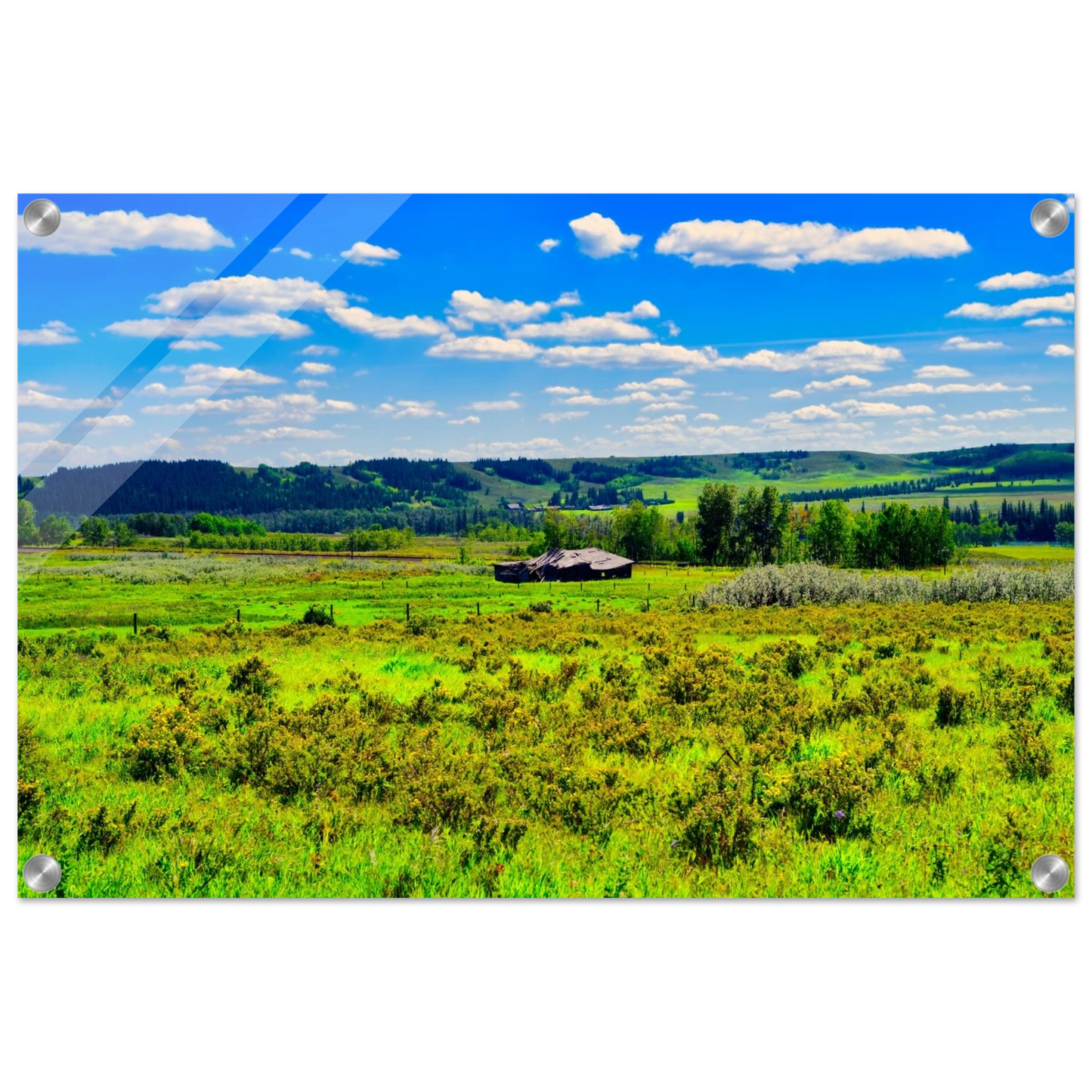 36055641-26d5-4b71-875b-a7e66c4eba13