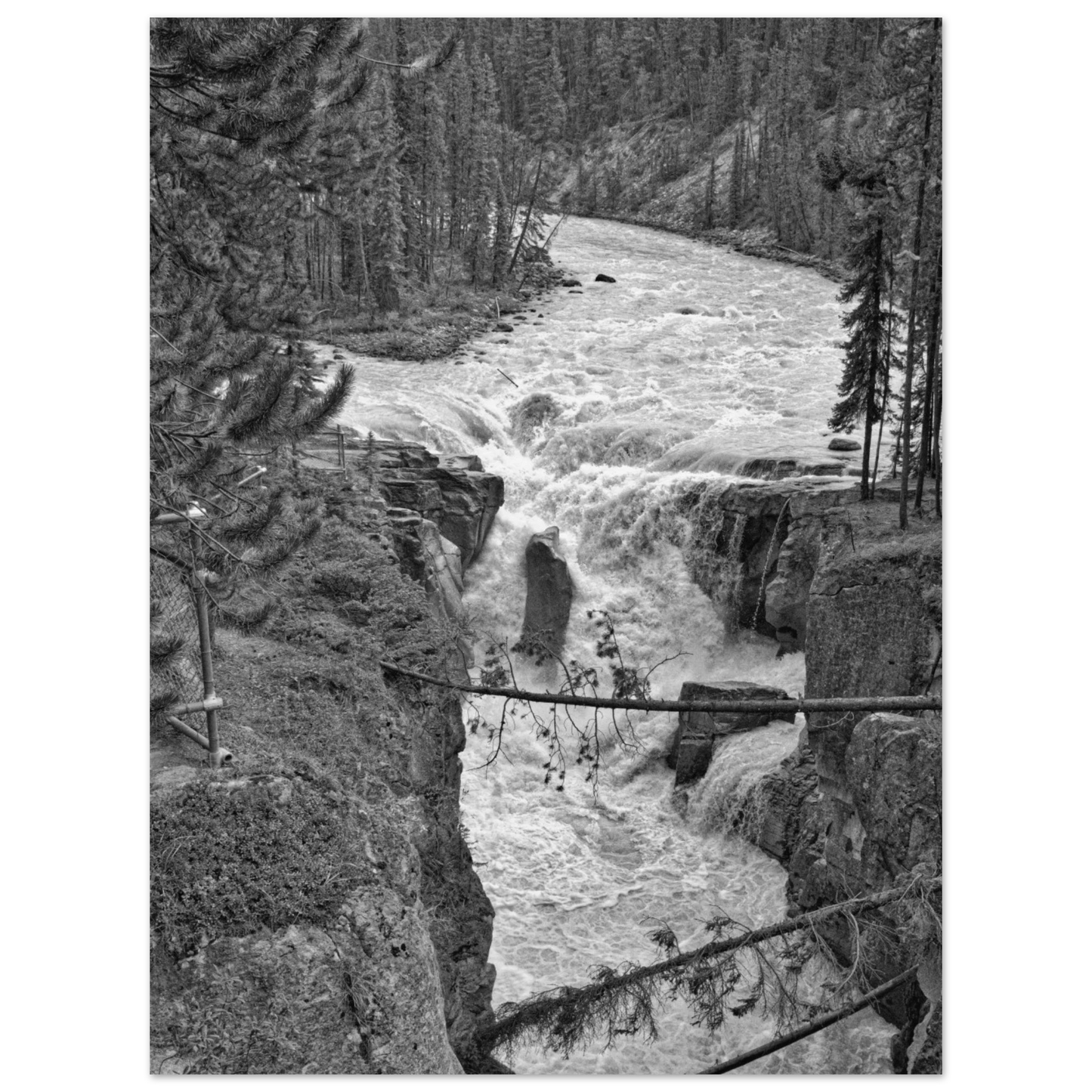 3652f8cd-b3d3-4f1f-a13b-e09a873998e3