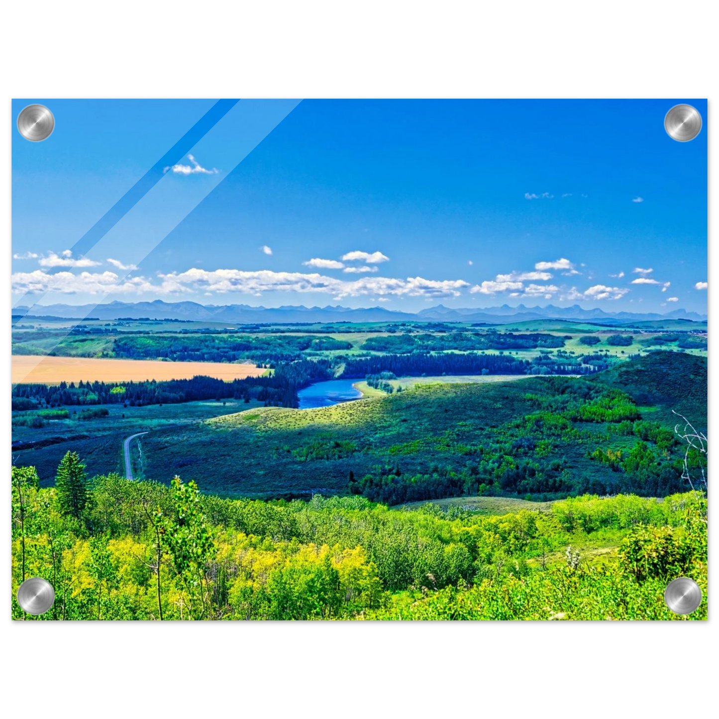 36782ab3-edcb-4d66-8442-1c9b15b24efe