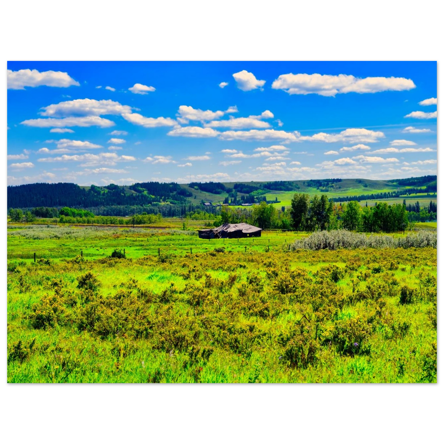 3760493f-afdf-484f-a9bd-c4b9b807f227