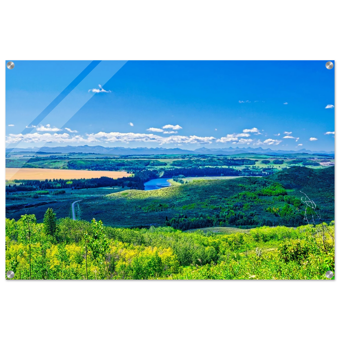 381d3802-0222-49a8-a5fa-672e8fe7d314