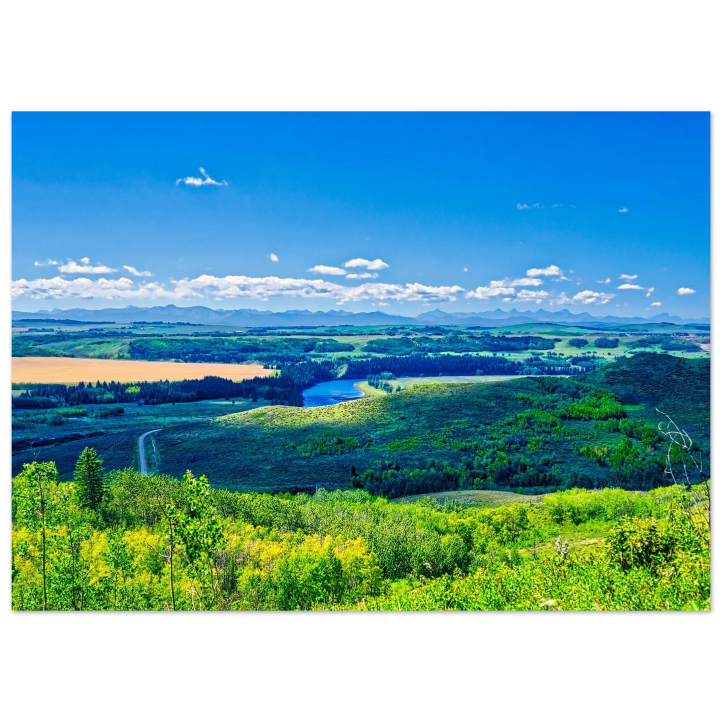 399605cf-2039-4a44-87ea-33d3c04e7764