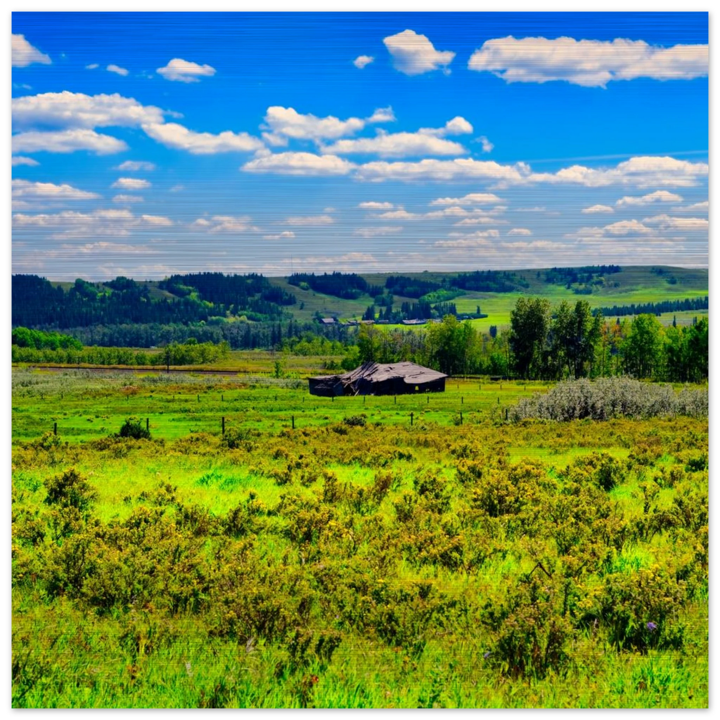 3bb89e46-b336-46bd-a6bc-244d61974131