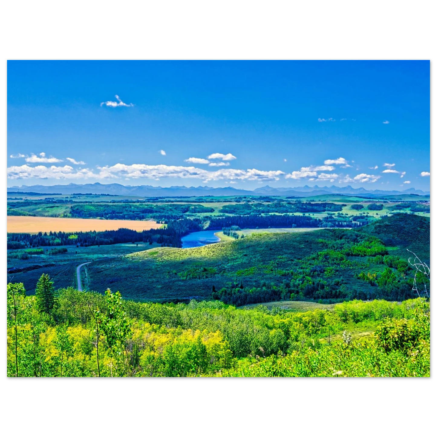 3cfcfdd7-041a-47e5-bb11-052c1e3feb58