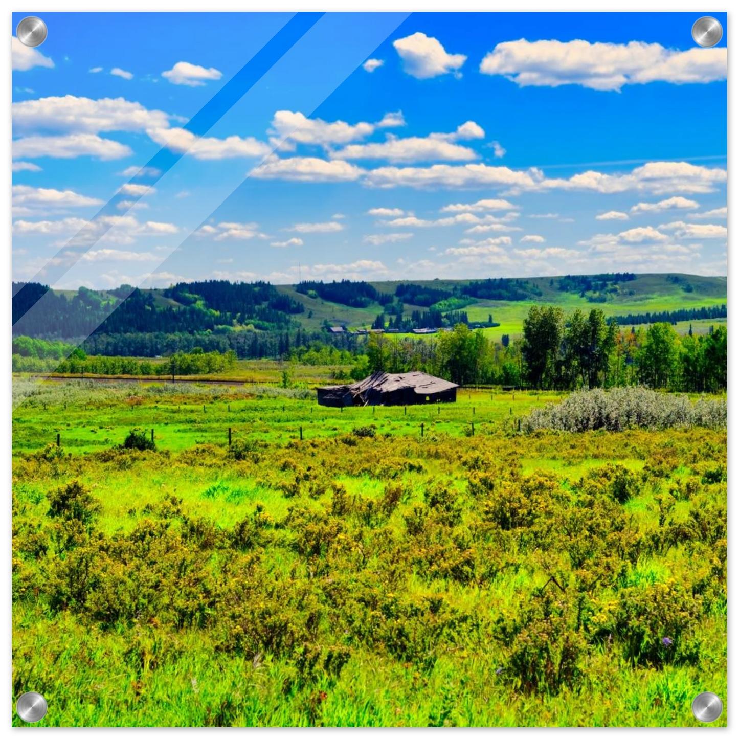 3e9483a1-17ea-4d1f-9f30-811a98f26a76