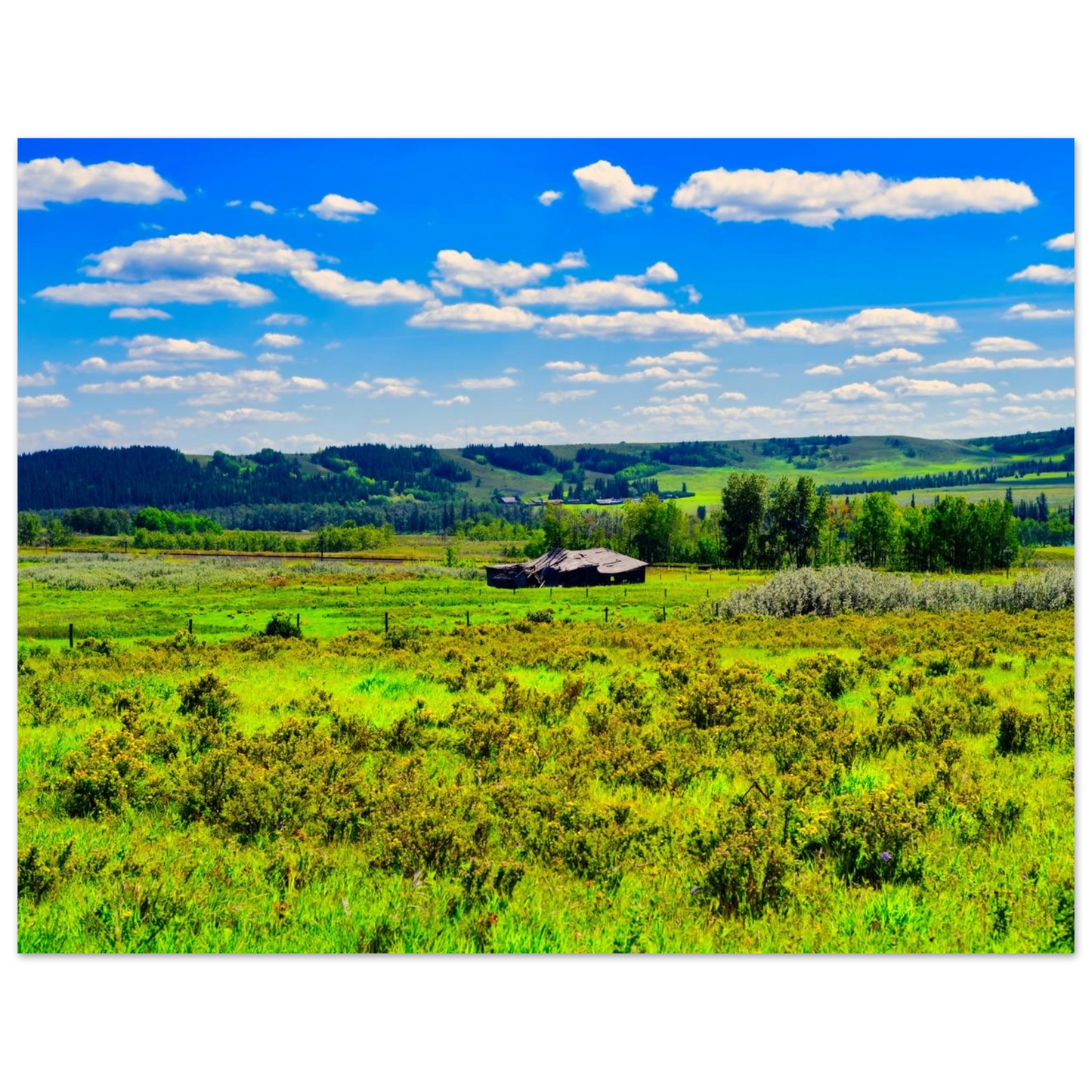 40eddc33-e37d-4493-bc9d-5990b4021a07