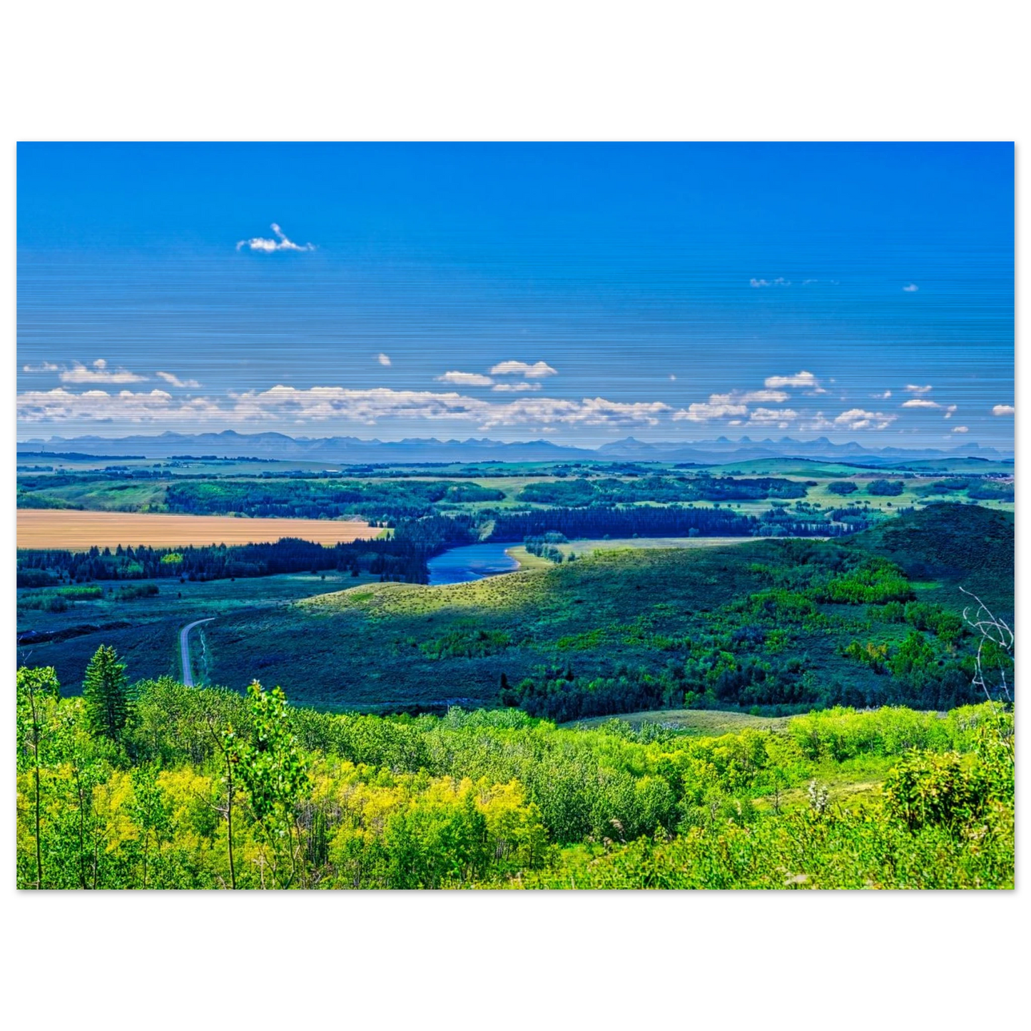 4254585d-f514-4382-8a9d-f5ea8d9934d8