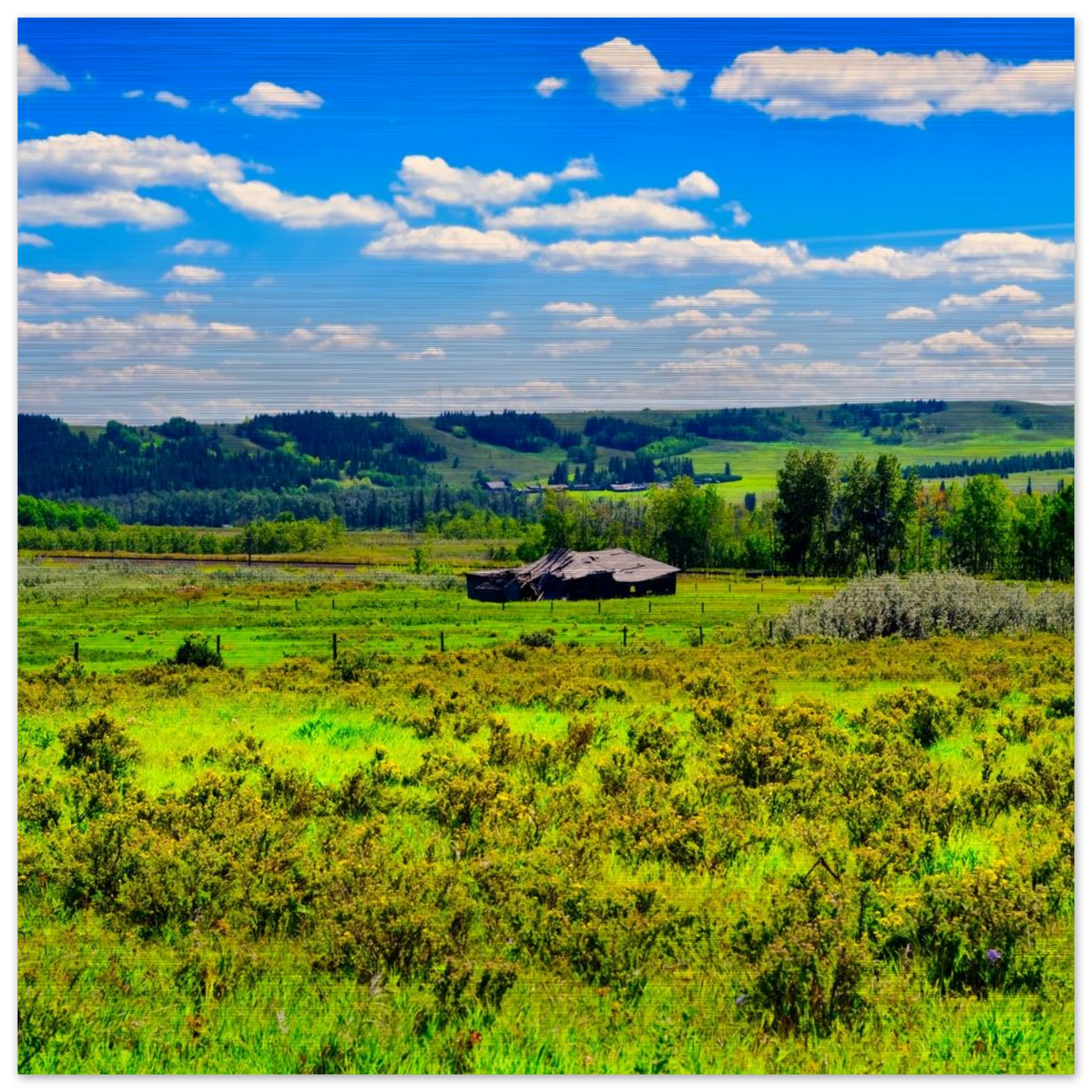 4281c1f4-7811-41fd-bd30-17d4c6312b72