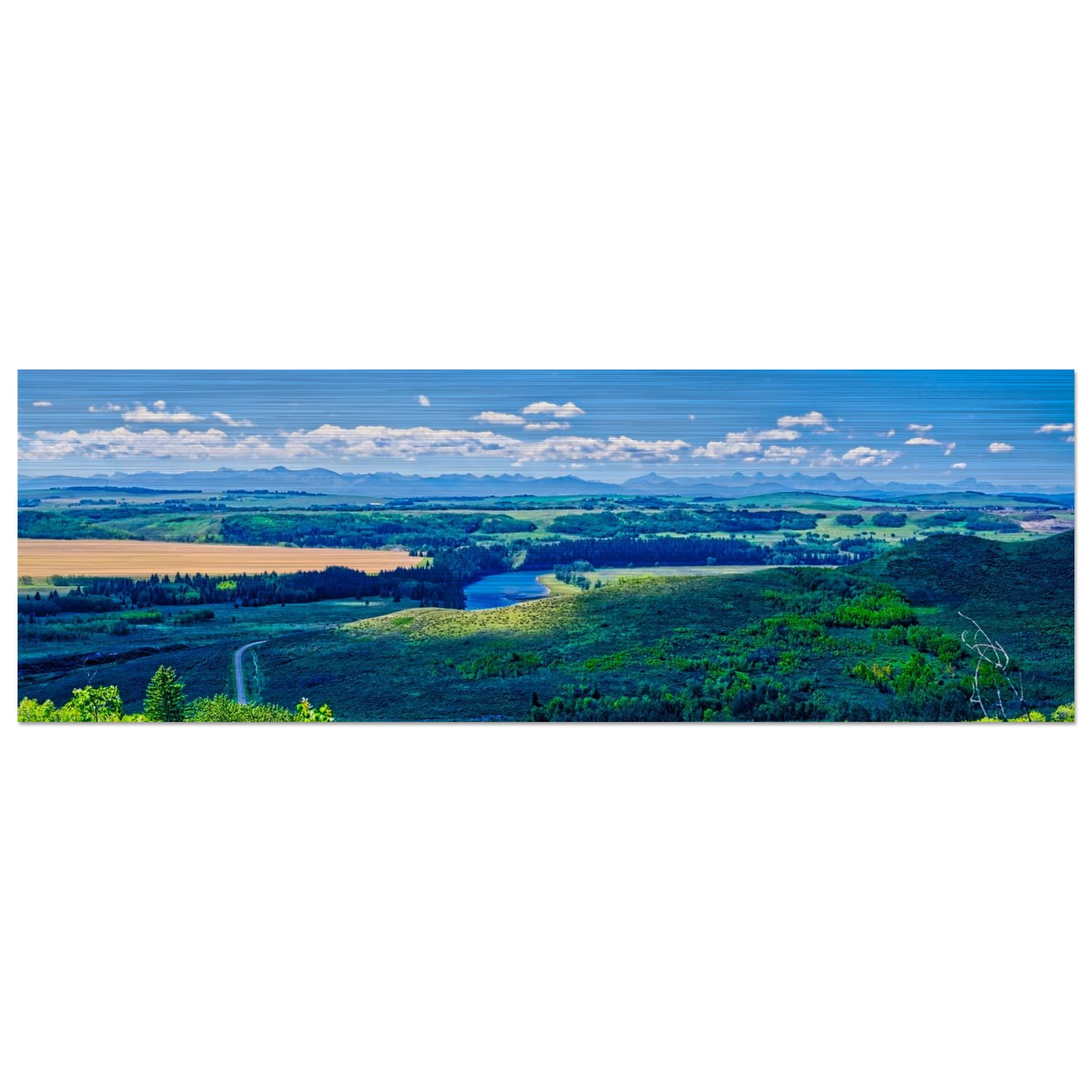 42c62c42-8827-49bf-9e97-c6b8a16b257b