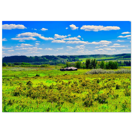 42d03e48-6b4a-470d-a984-26c460dc6e9a