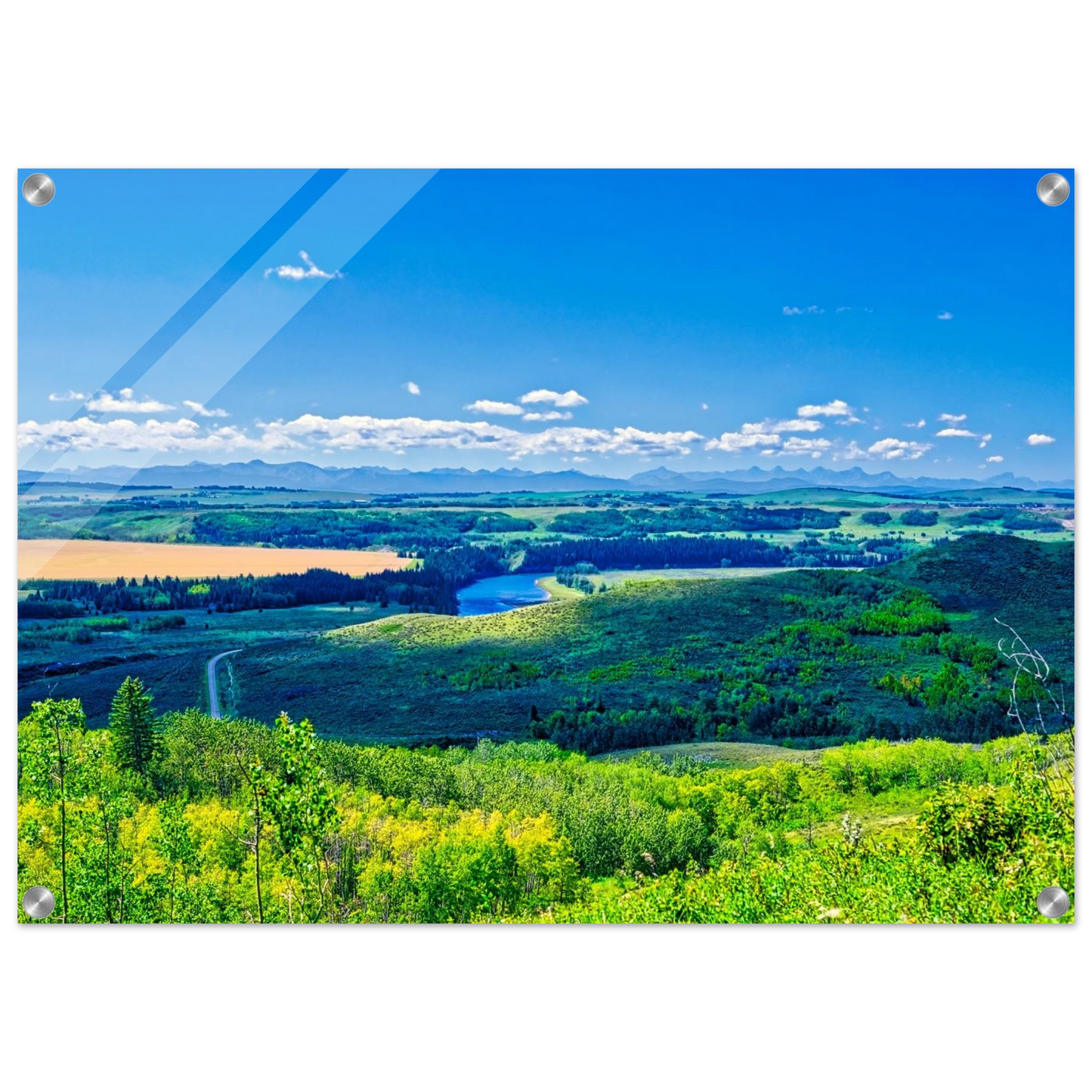 42f2b462-98a3-4227-8fc2-fb60a0a068c3