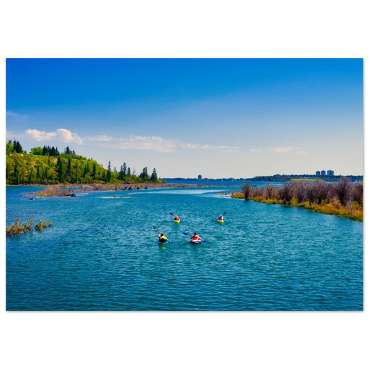 43355c1d-afe7-484c-9125-d5044167687a