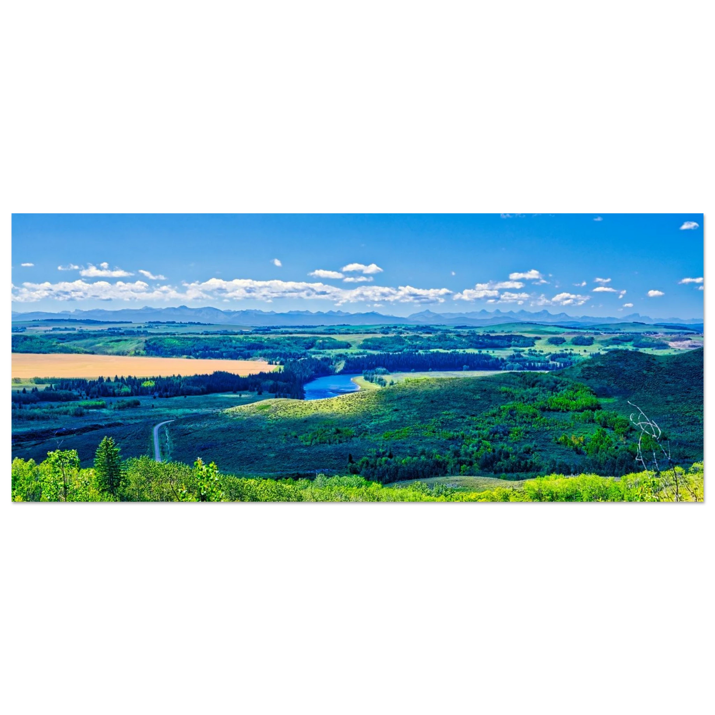 46427ad8-7d1d-4699-8b04-dbaba3e244b4