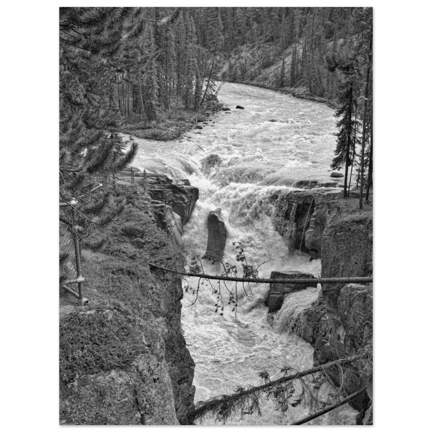 4a0befc8-19d9-455e-946a-c449b4219ad4