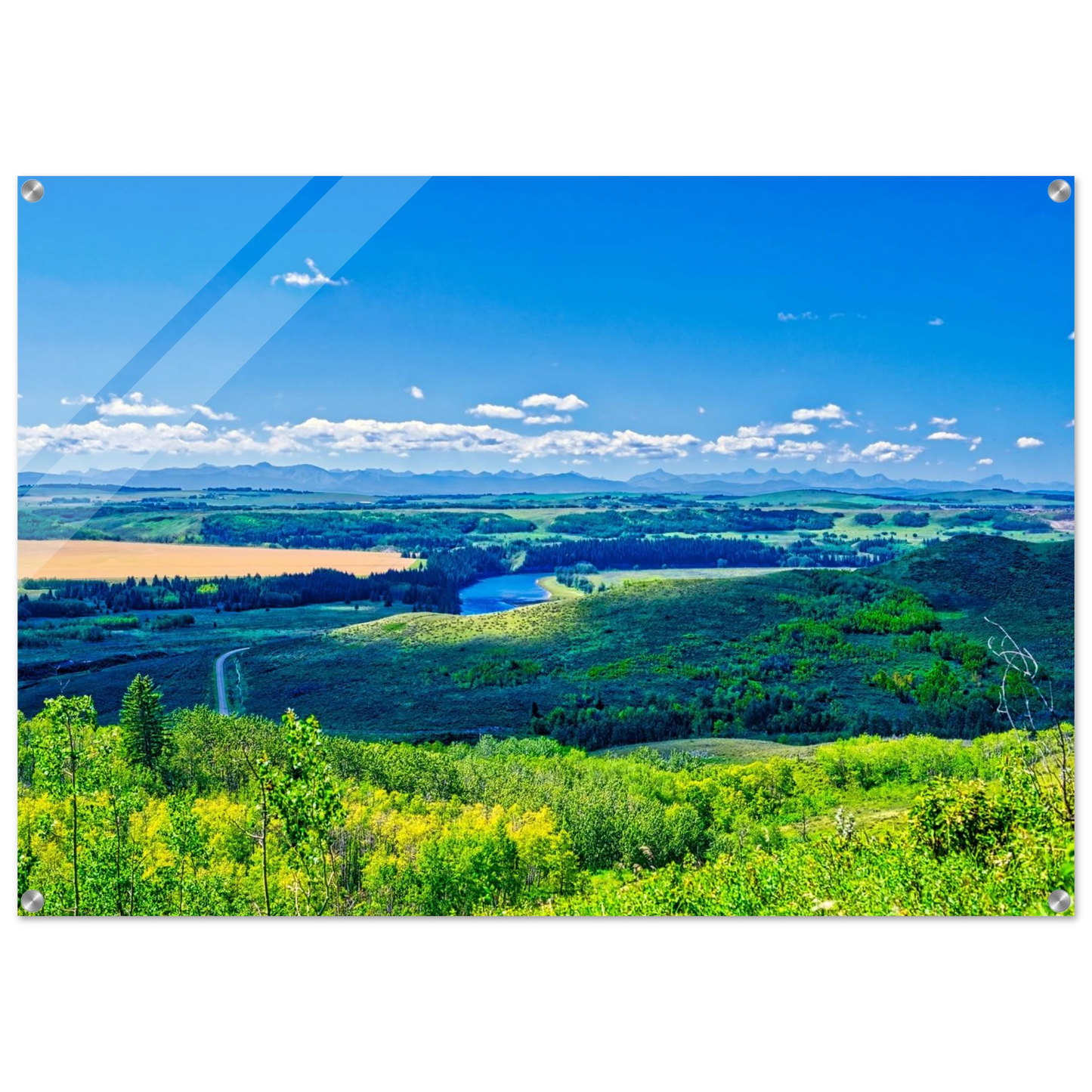 4c13d77c-23c5-4396-ac88-c32f46bd3d0f