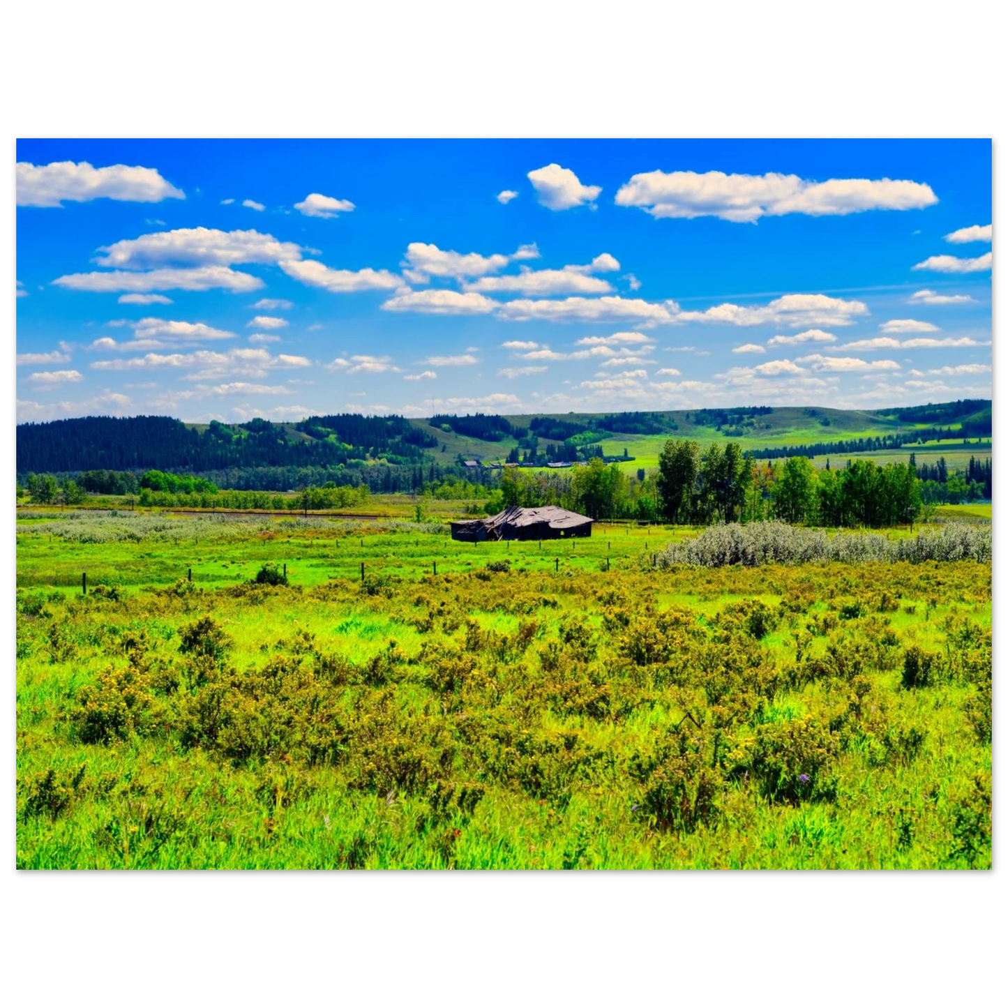 4d848538-1128-4ac2-a7a8-9f2fd47b440d