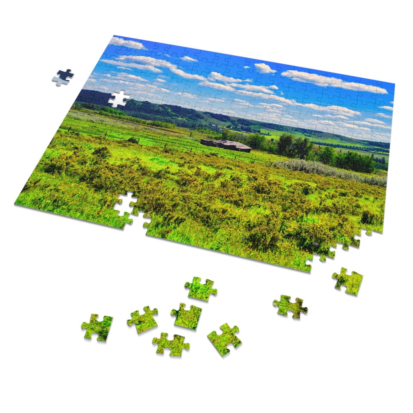 Jigsaw Puzzle - Glenbow Ranch Provincial Park