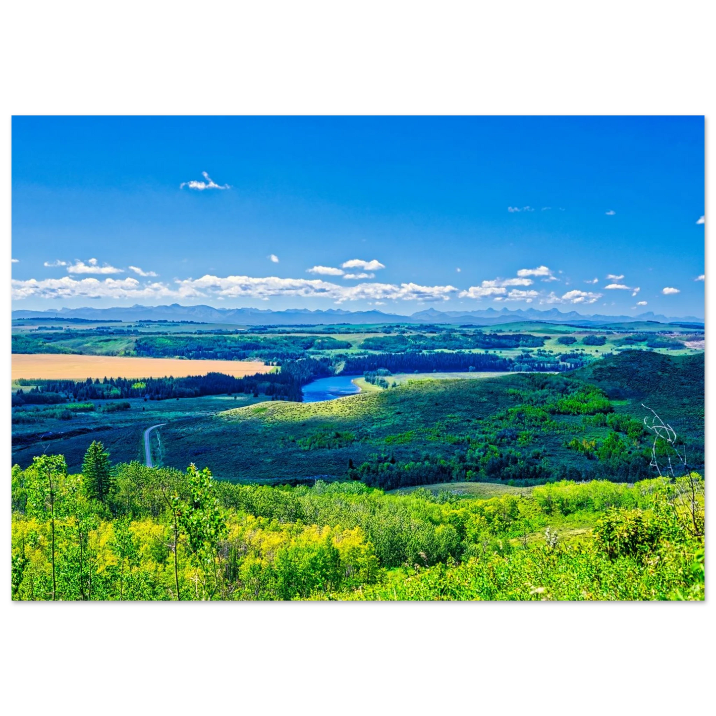 517f8378-8305-48ed-8231-2e20f4d29606