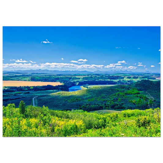 517f8378-8305-48ed-8231-2e20f4d29606