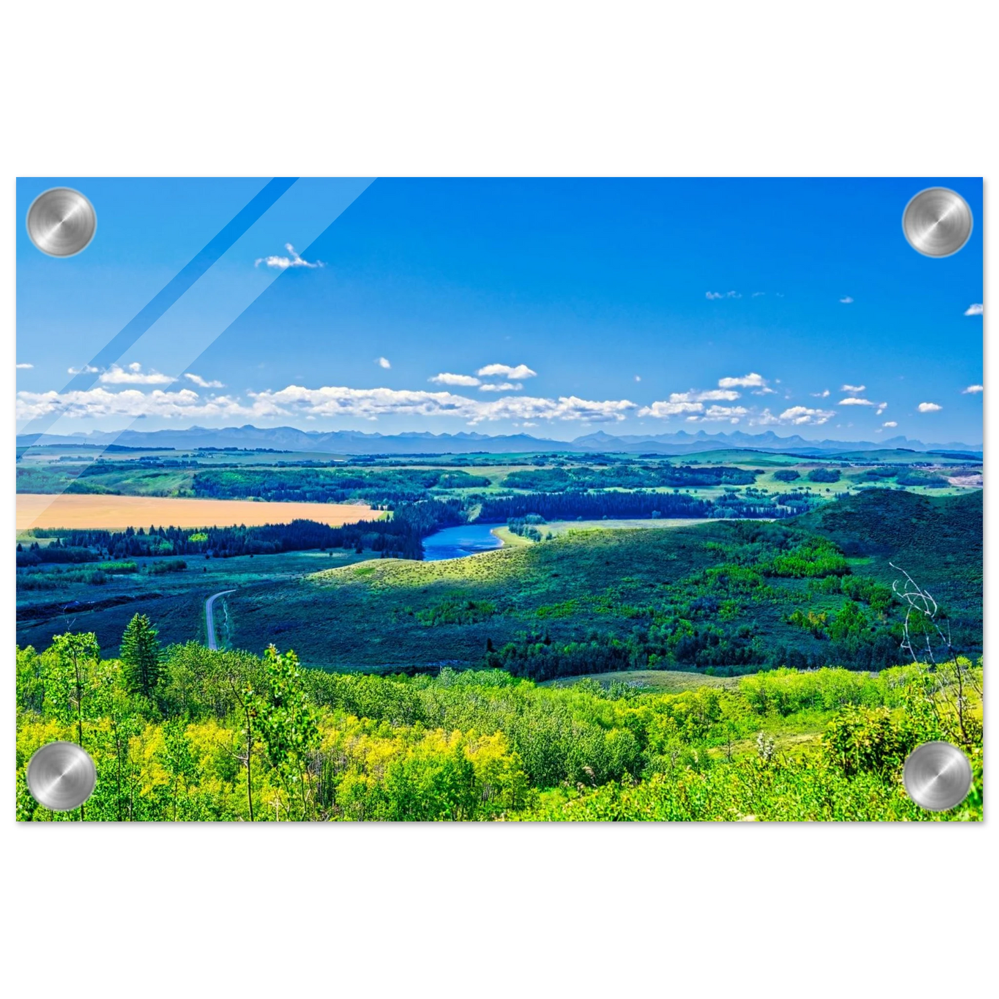 5419f414-465f-4bc9-b606-671ad039856a