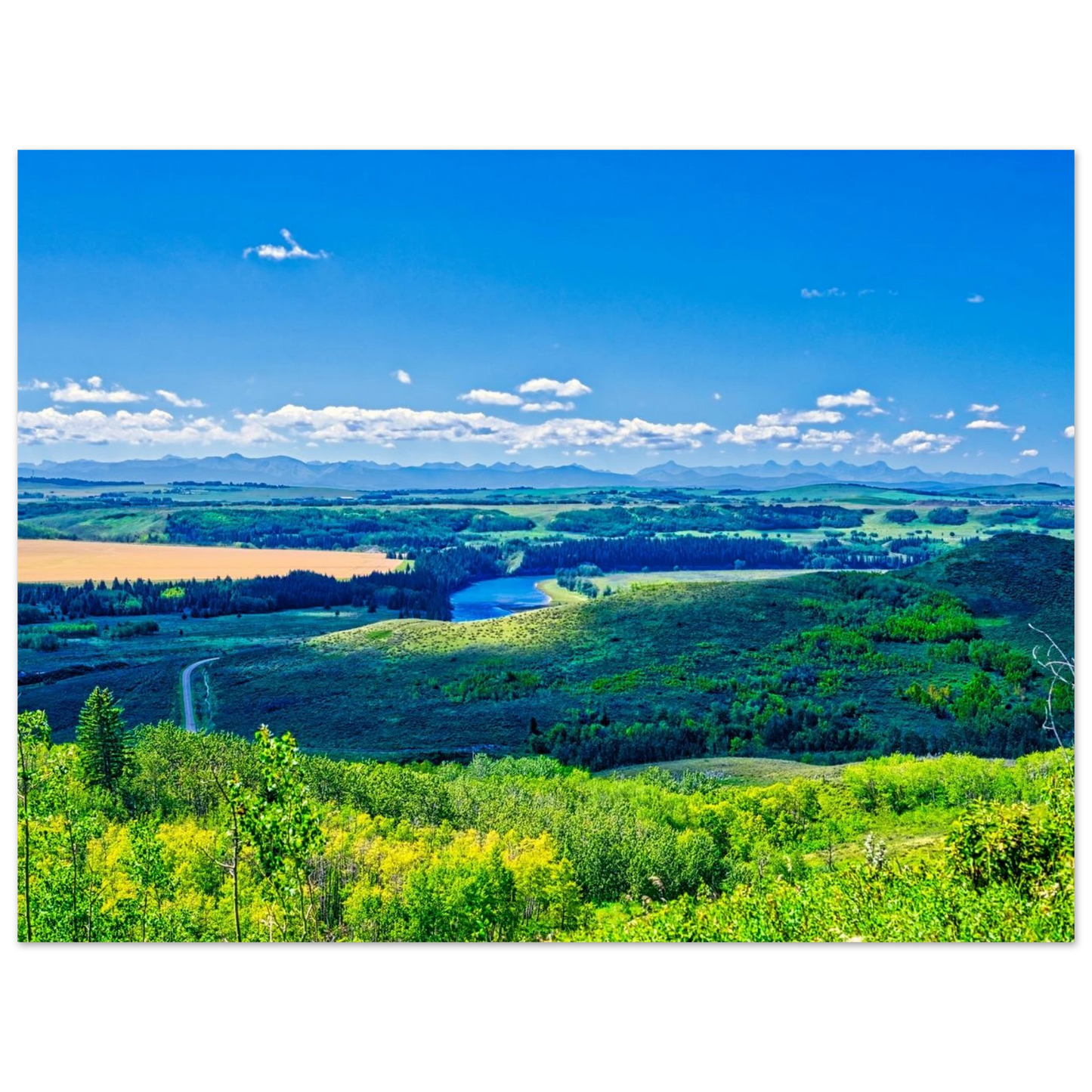 542bfe50-edb3-4ef1-91a7-e8adafe31b09